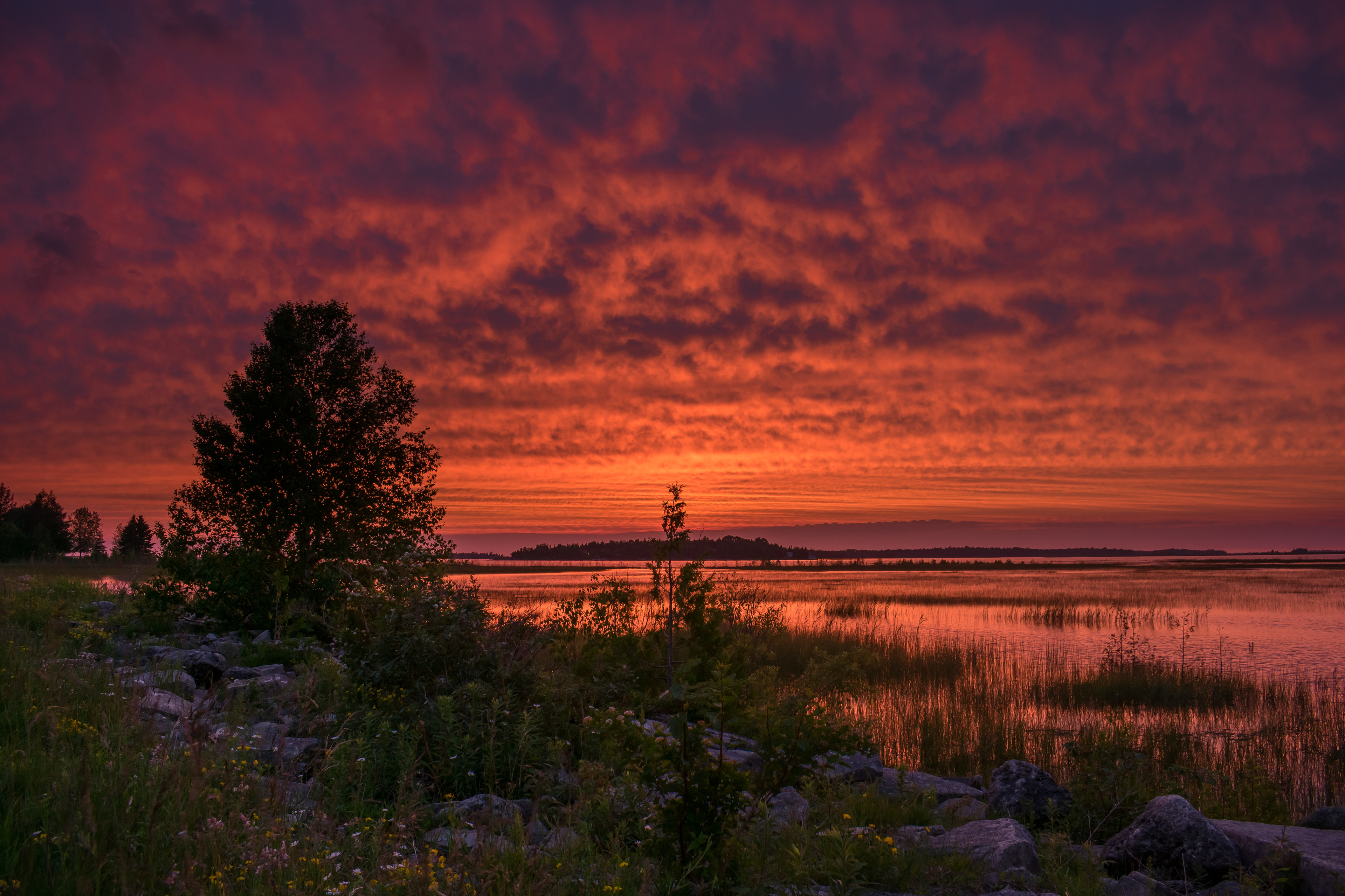 Oliphant, Ontario.