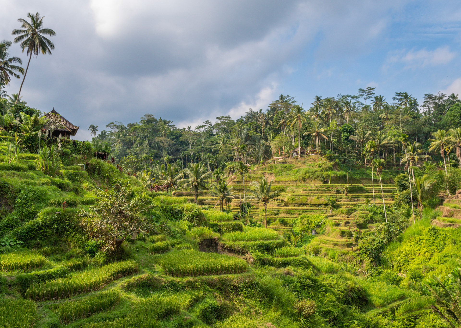 Ubud, Bali, Indonesia.