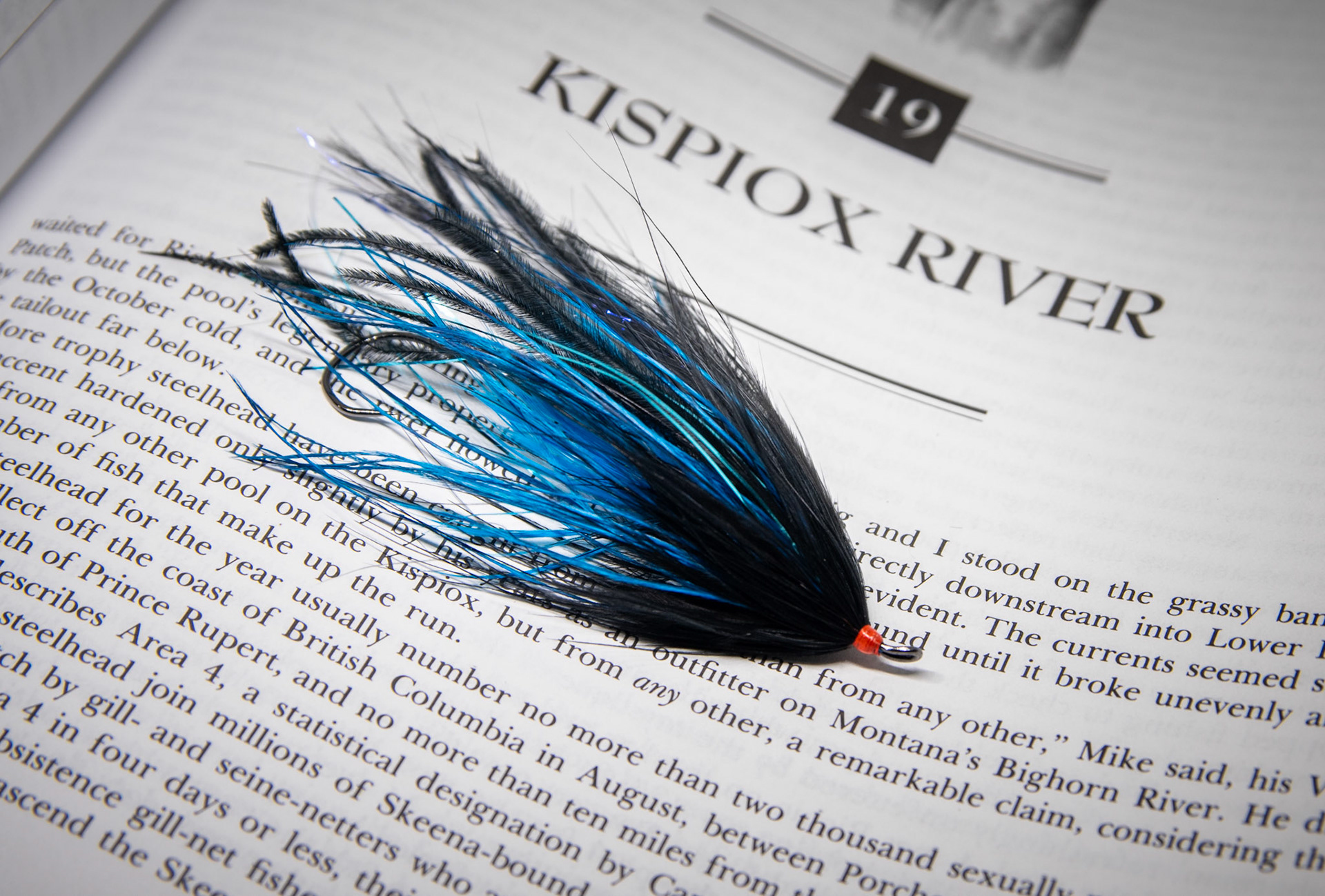 Black, Blue & Wiggly