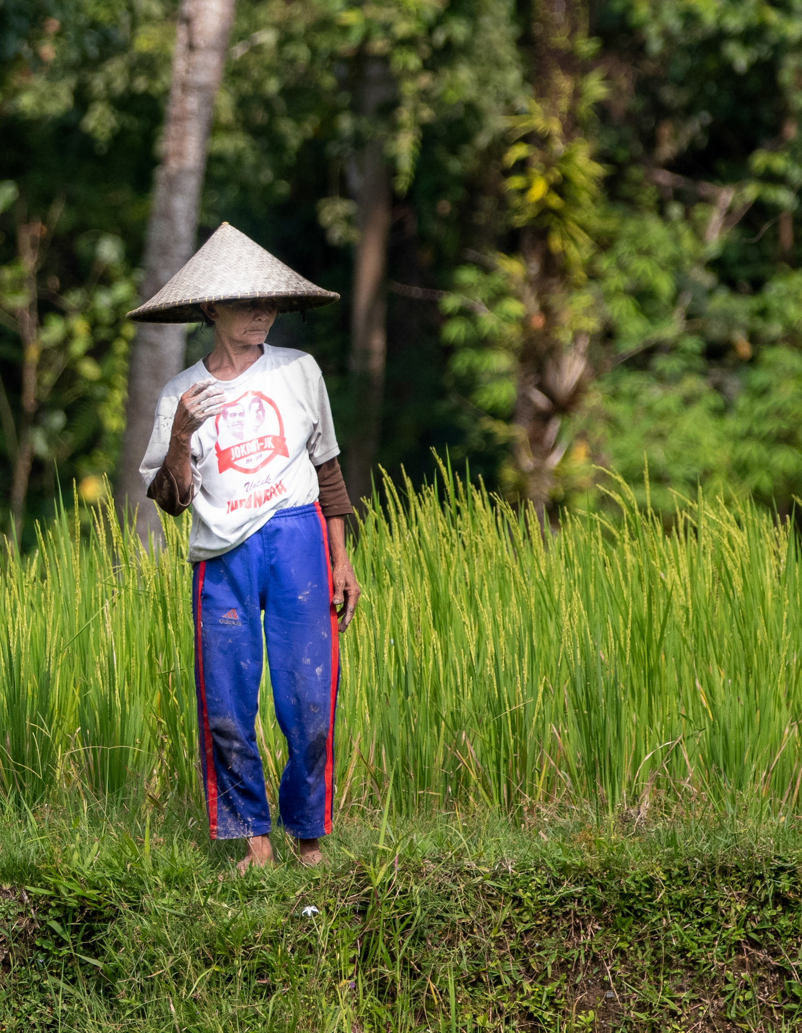 Ubud, Bali, Indonesia.