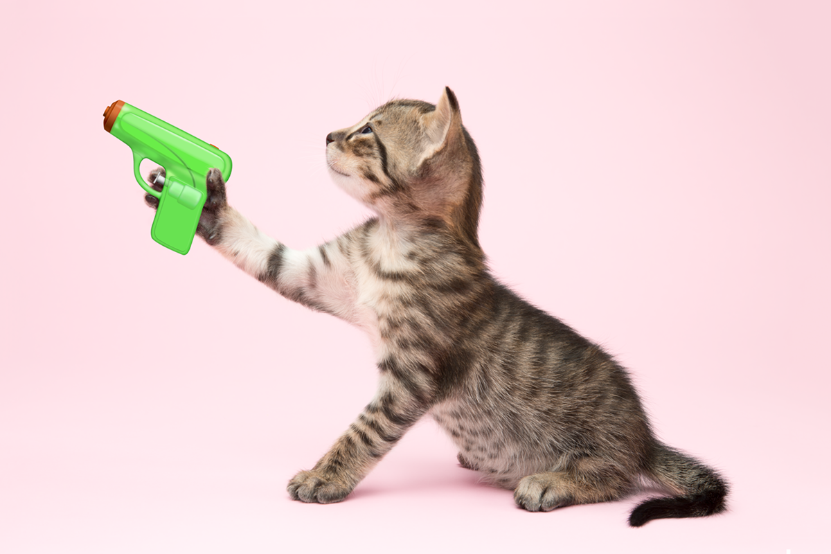 Emoji Kittens by Tania Hennessy