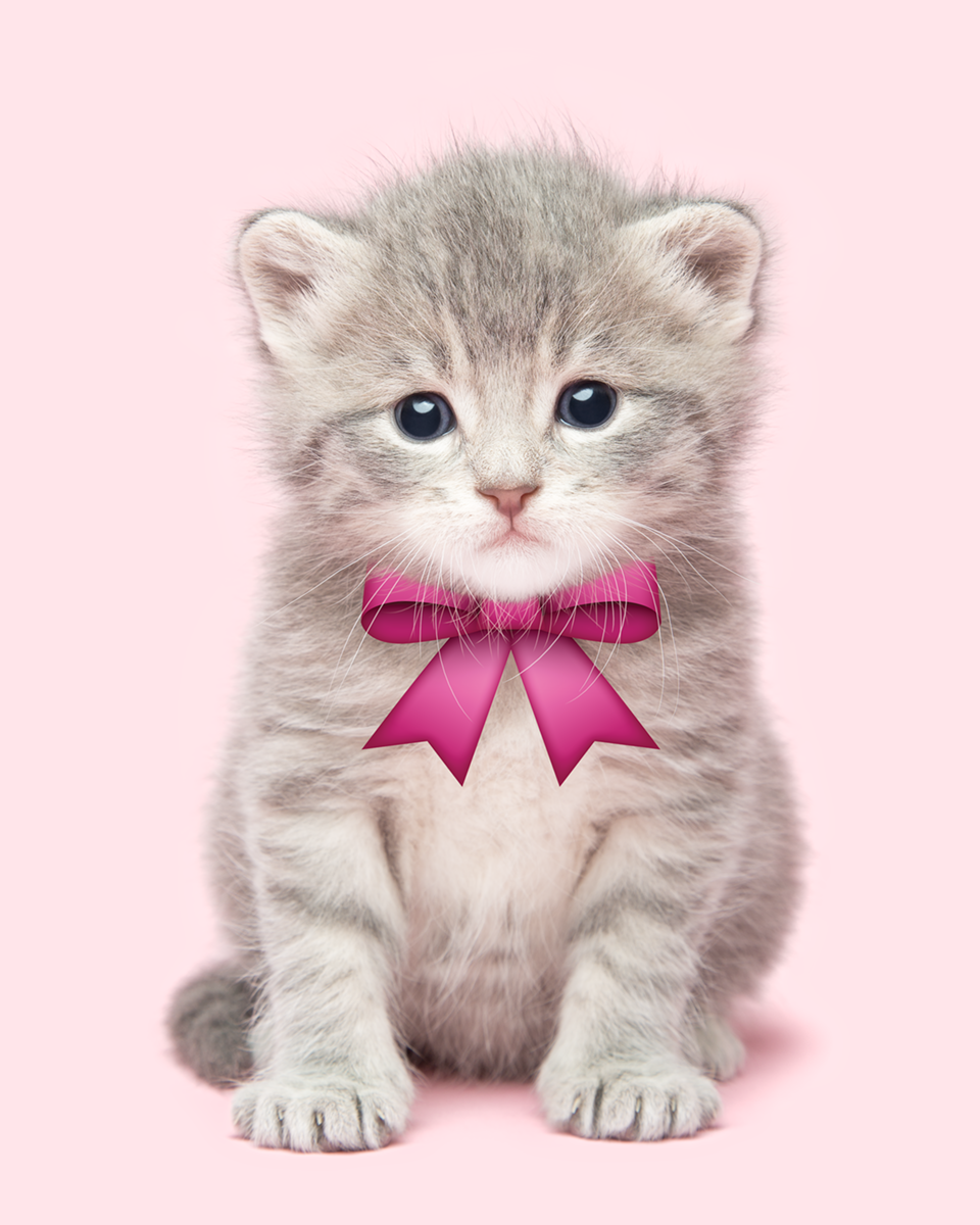Emoji Kittens by Tania Hennessy