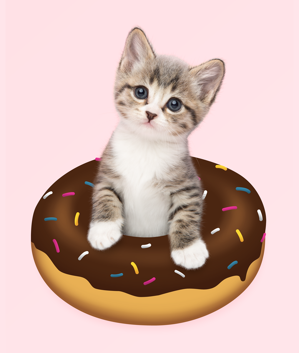 Emoji Kittens by Tania Hennessy