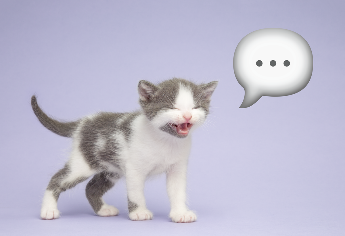 Emoji Kittens by Tania Hennessy