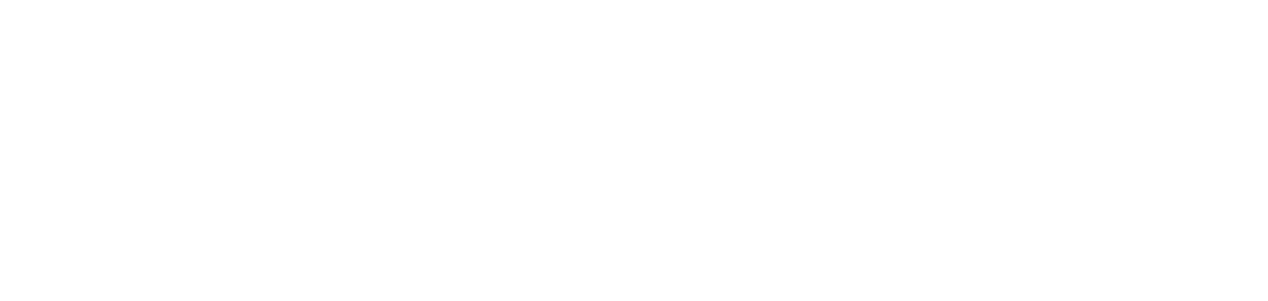 Lucas Stelzer