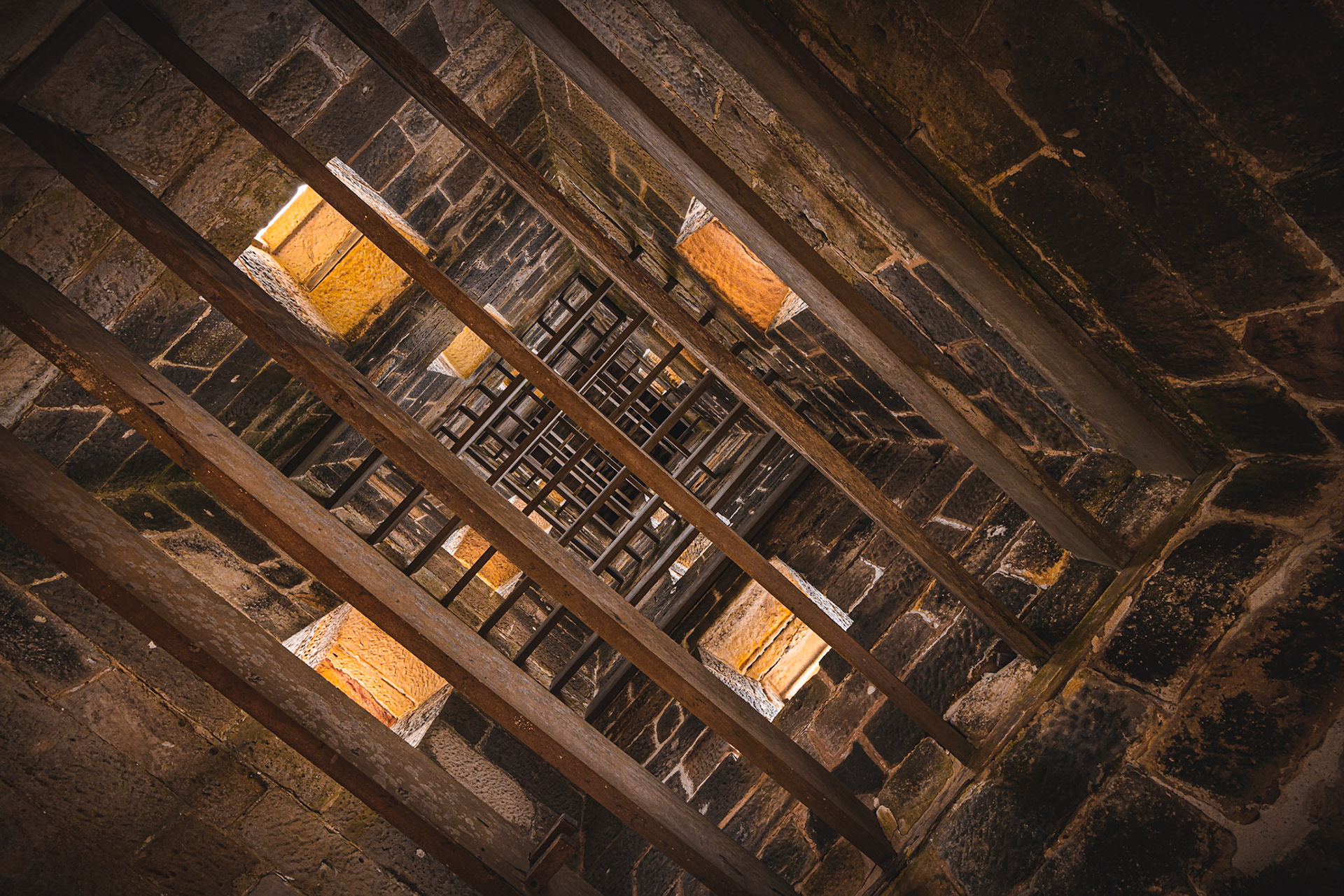 Boyd Tower Skeleton