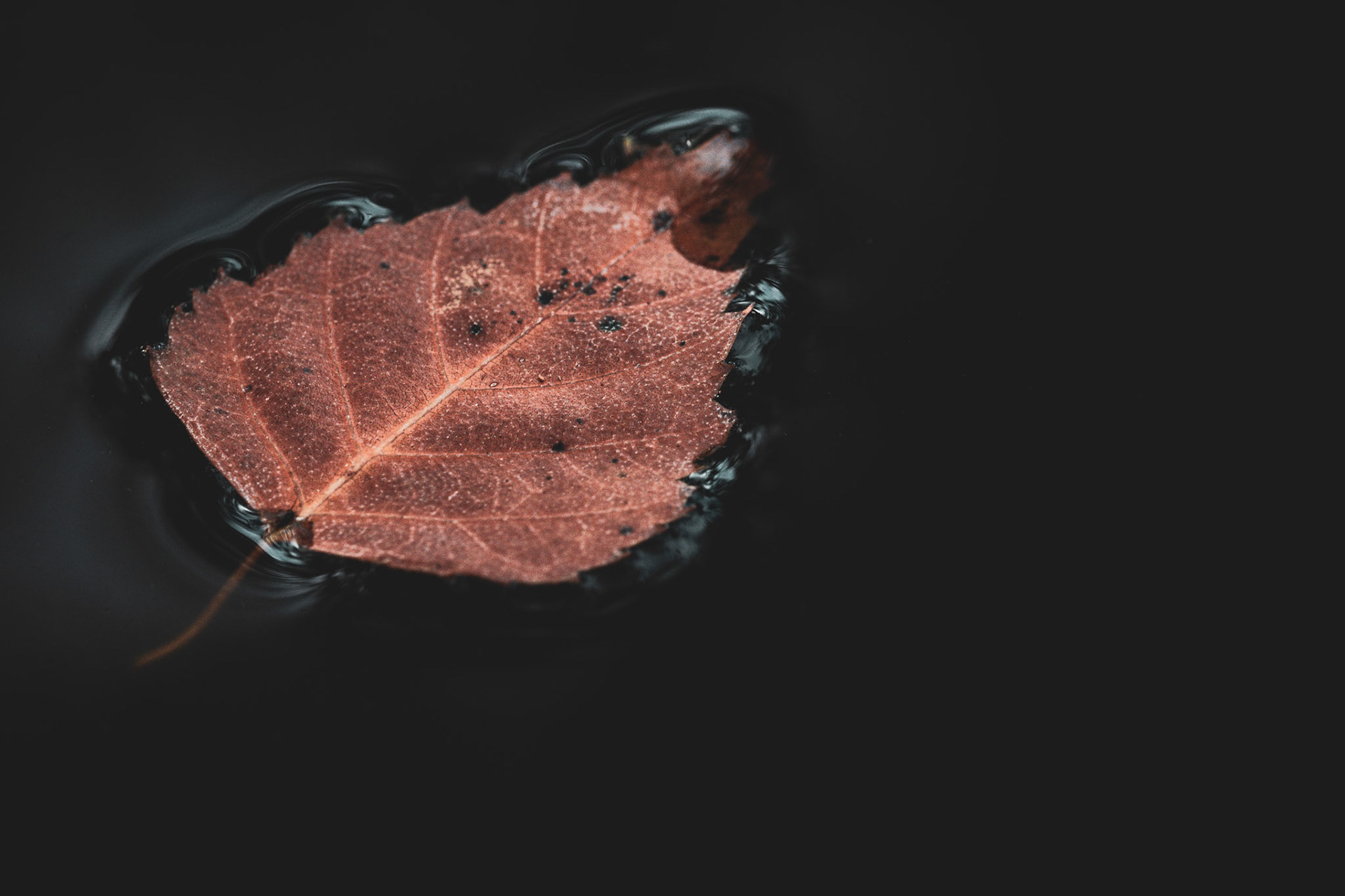 Floating in nothingness