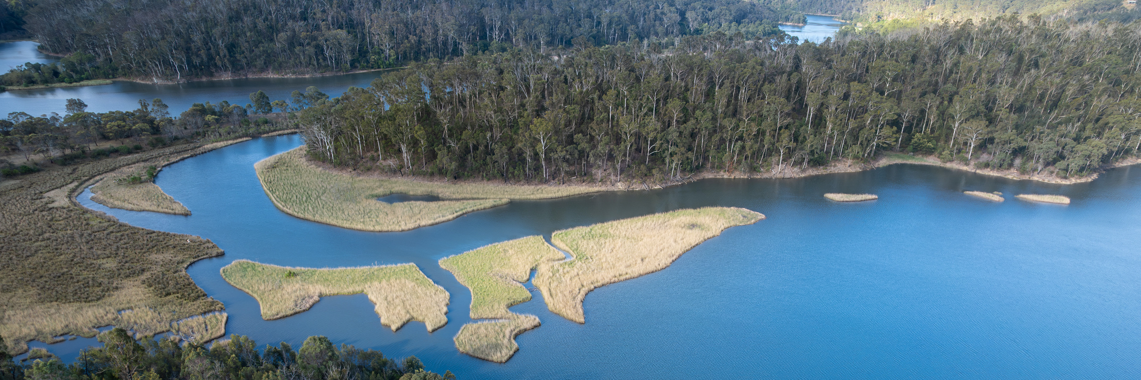 Blackfellows Lagoon