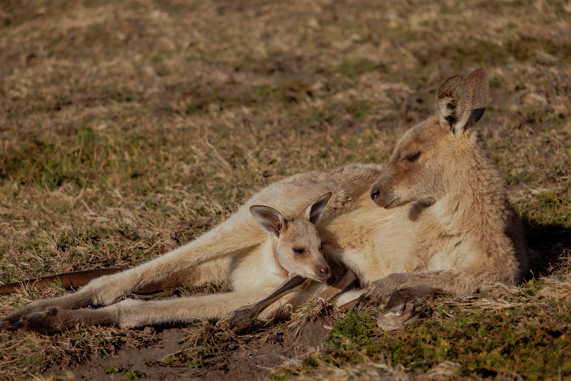 Special time with the kid