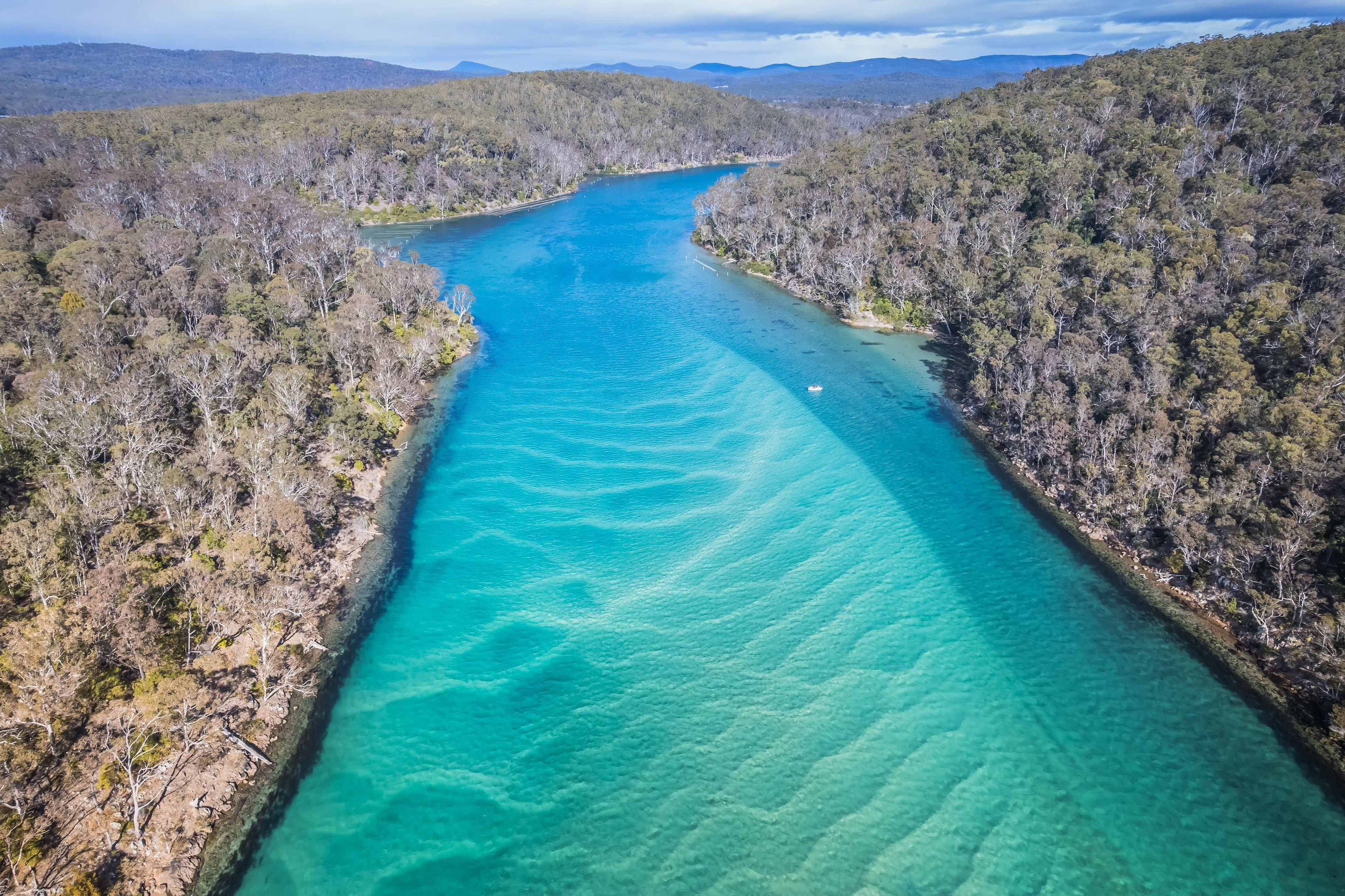 Pambula River (Peter Coleman)