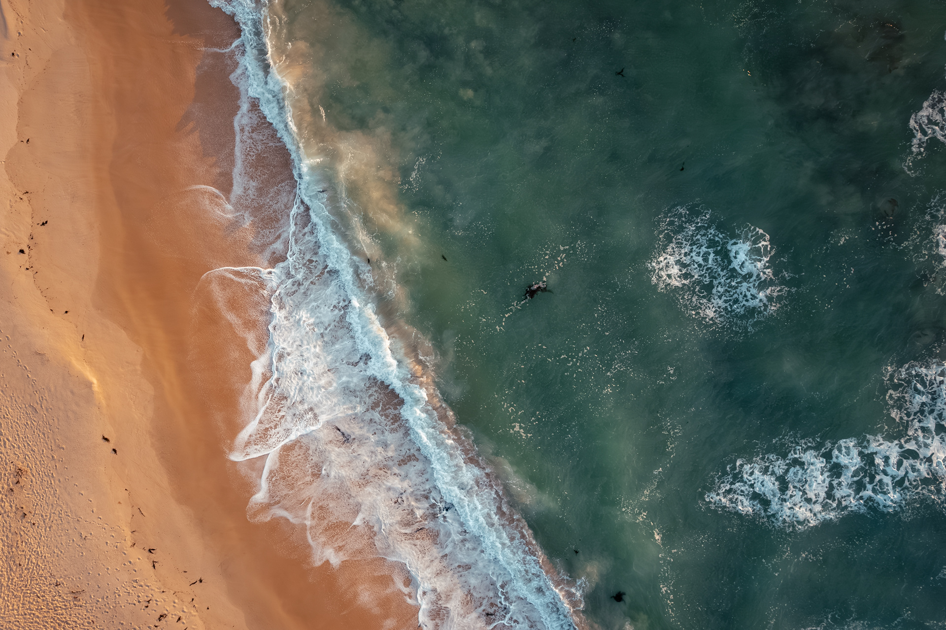 Colours of the beach