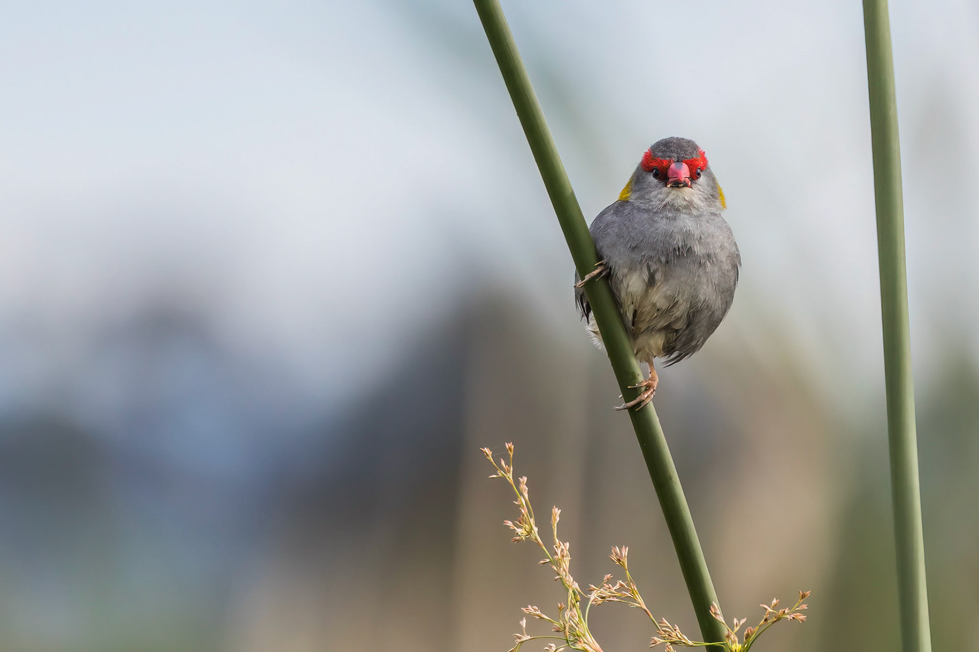 Are you looking at me?