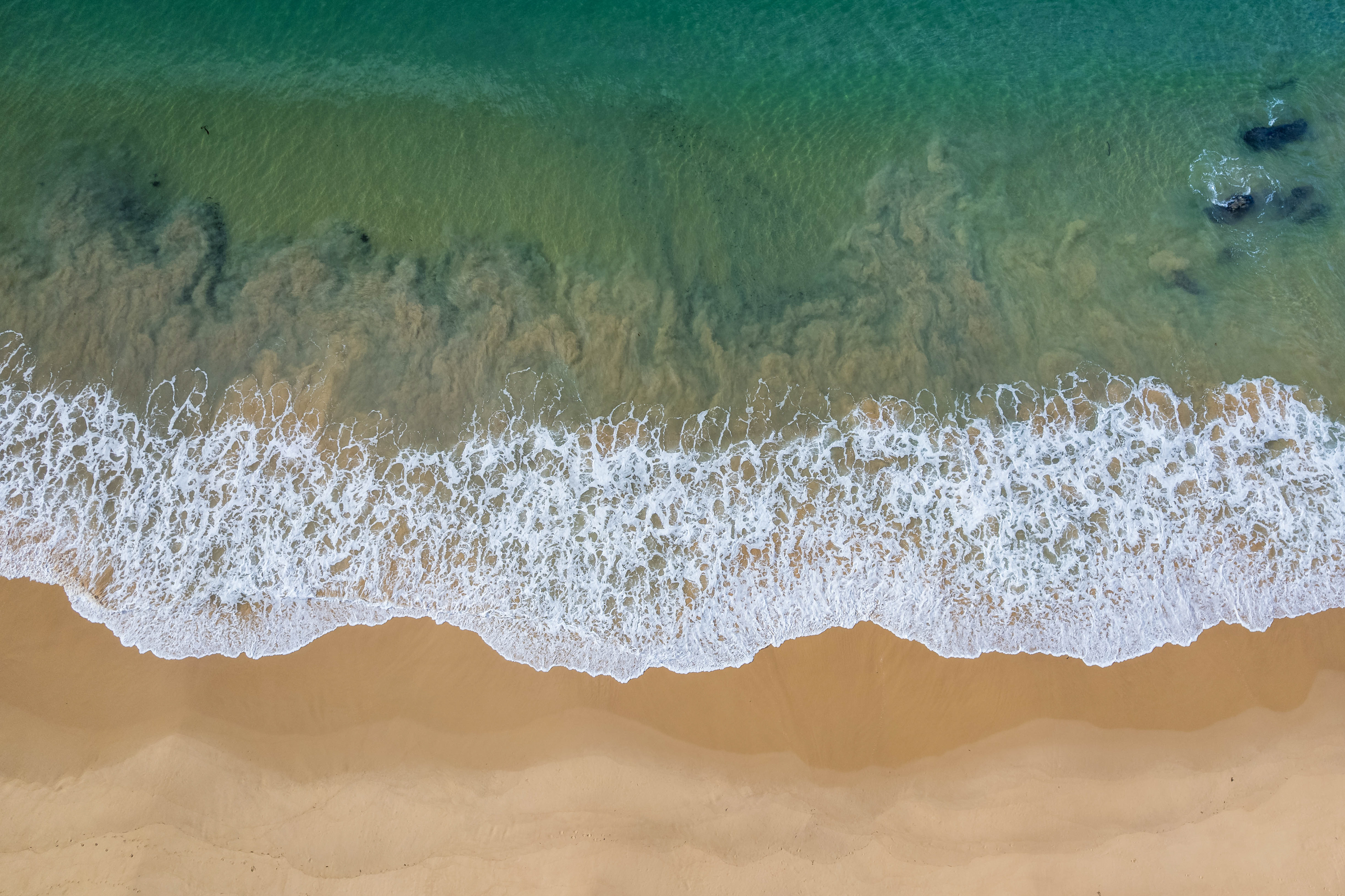 Shore break 3  (Peter Coleman)