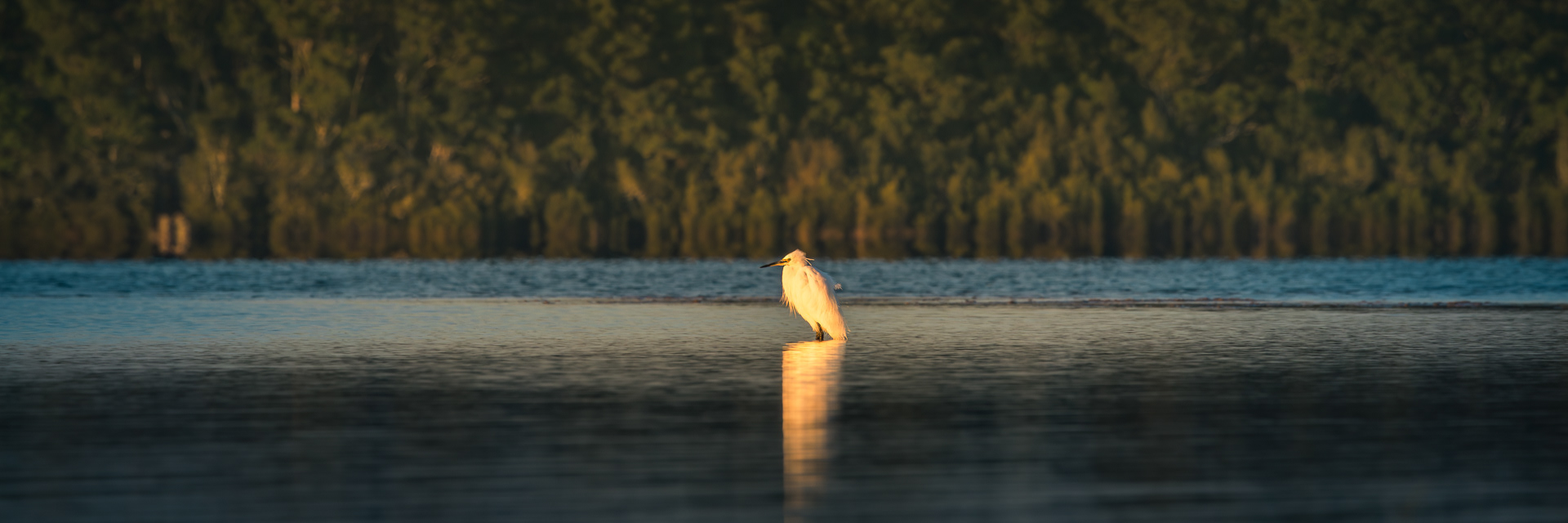 Solitude