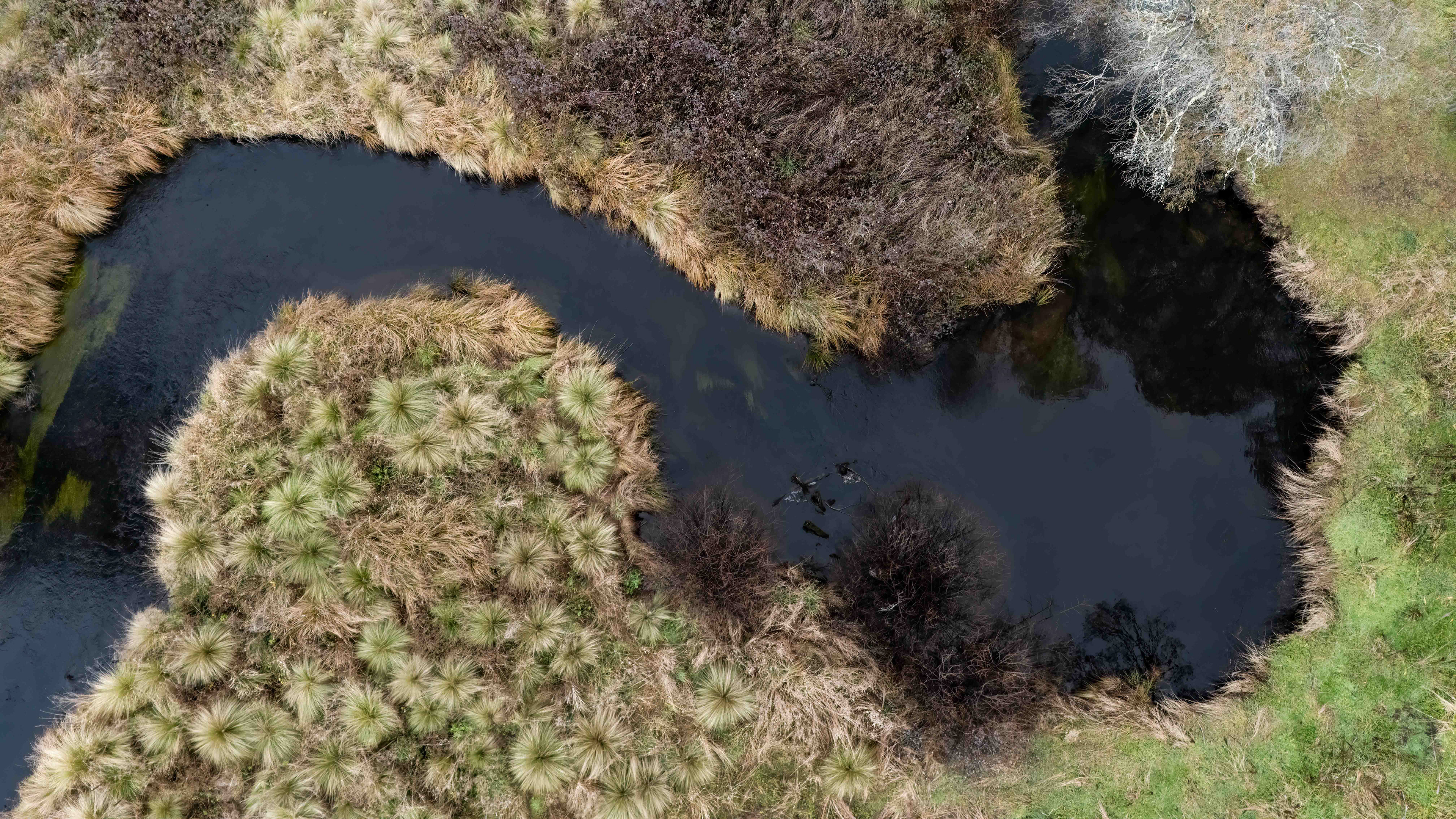 River bends