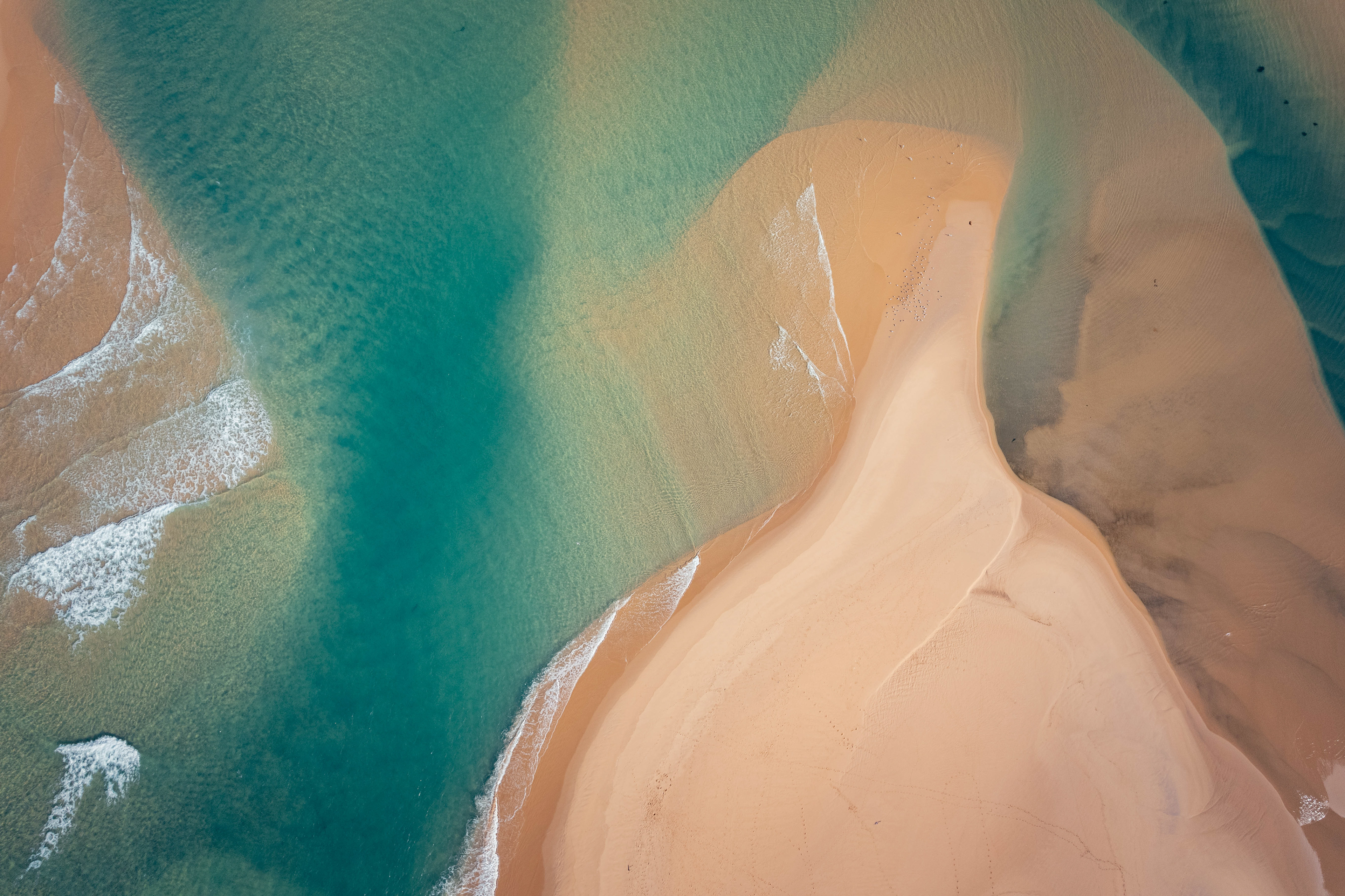 Snowy sands 2  (Peter Coleman)