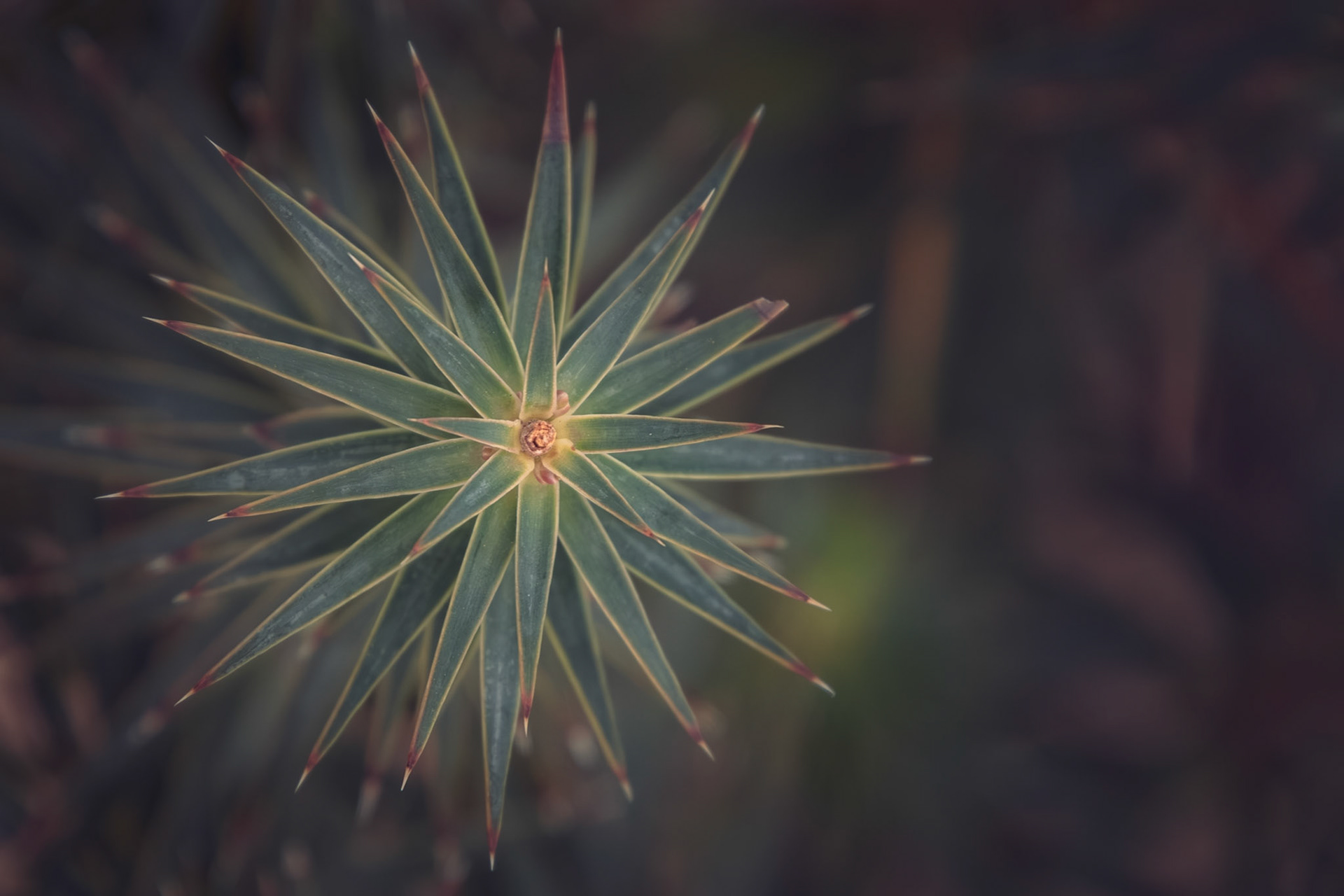 Timallallie National Park