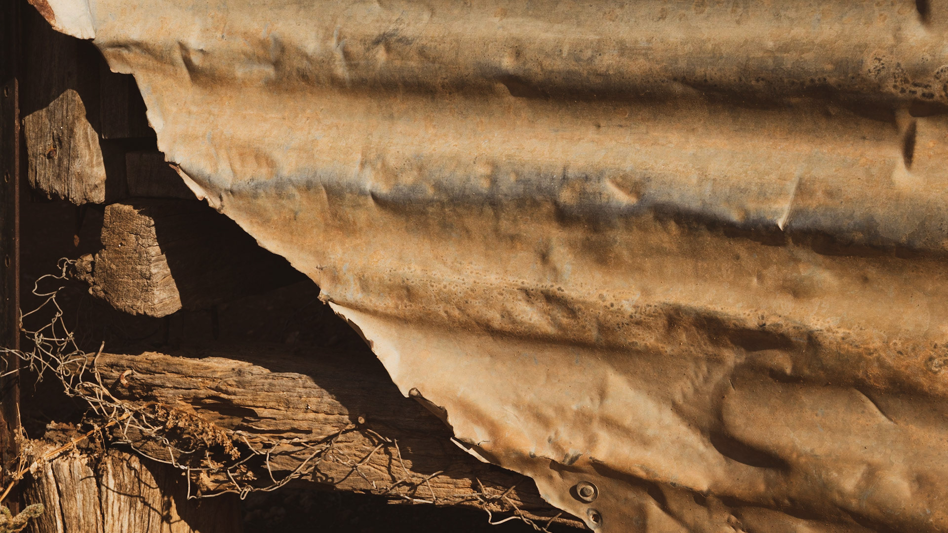 Yanga National Park, NSW