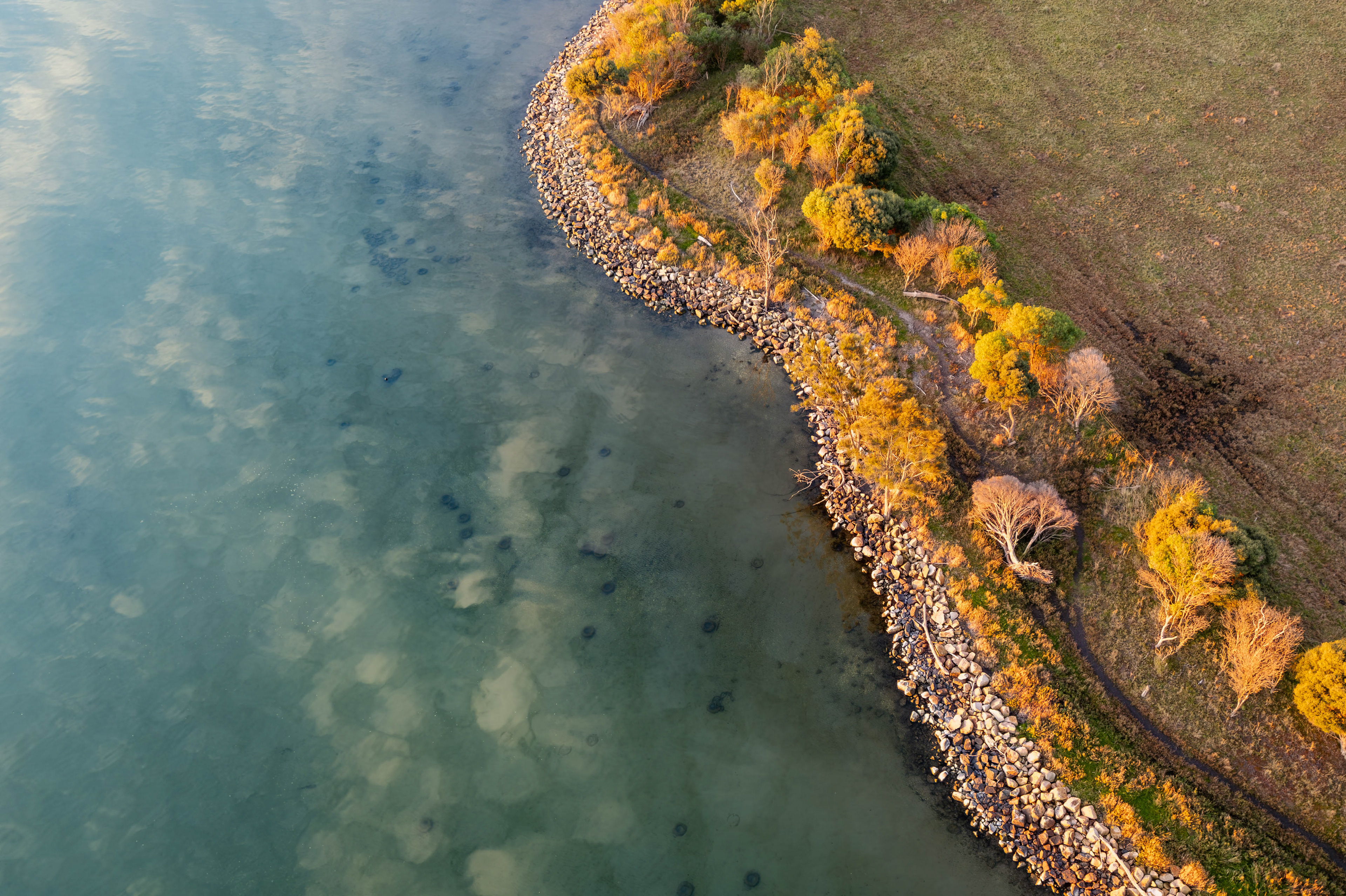 Gippsland lake edge