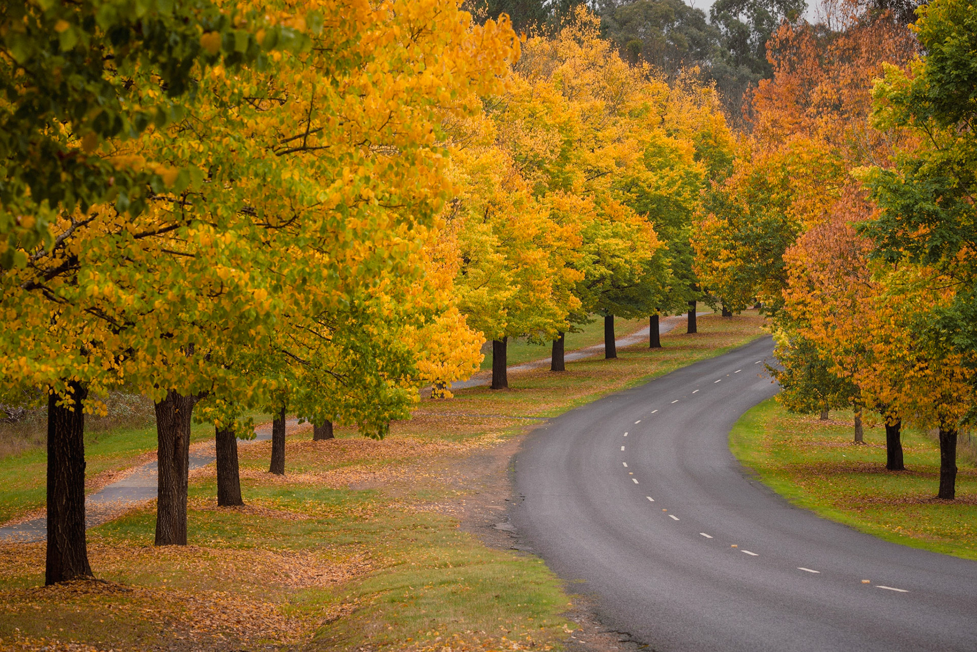 Autumn in Bright
