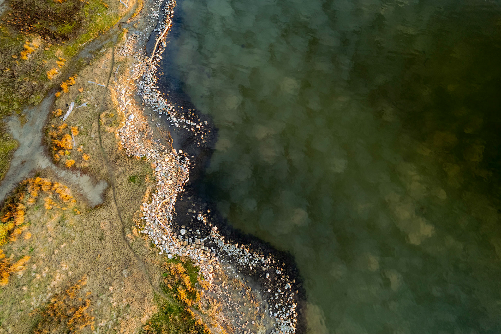 Painted water