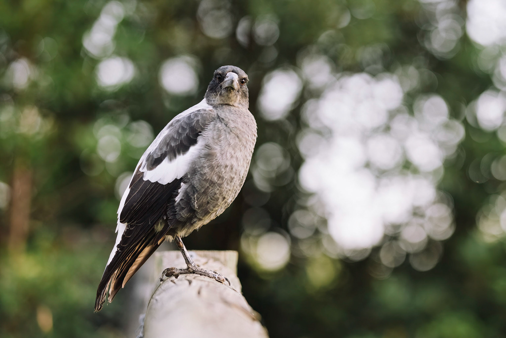 Are you looking at me?