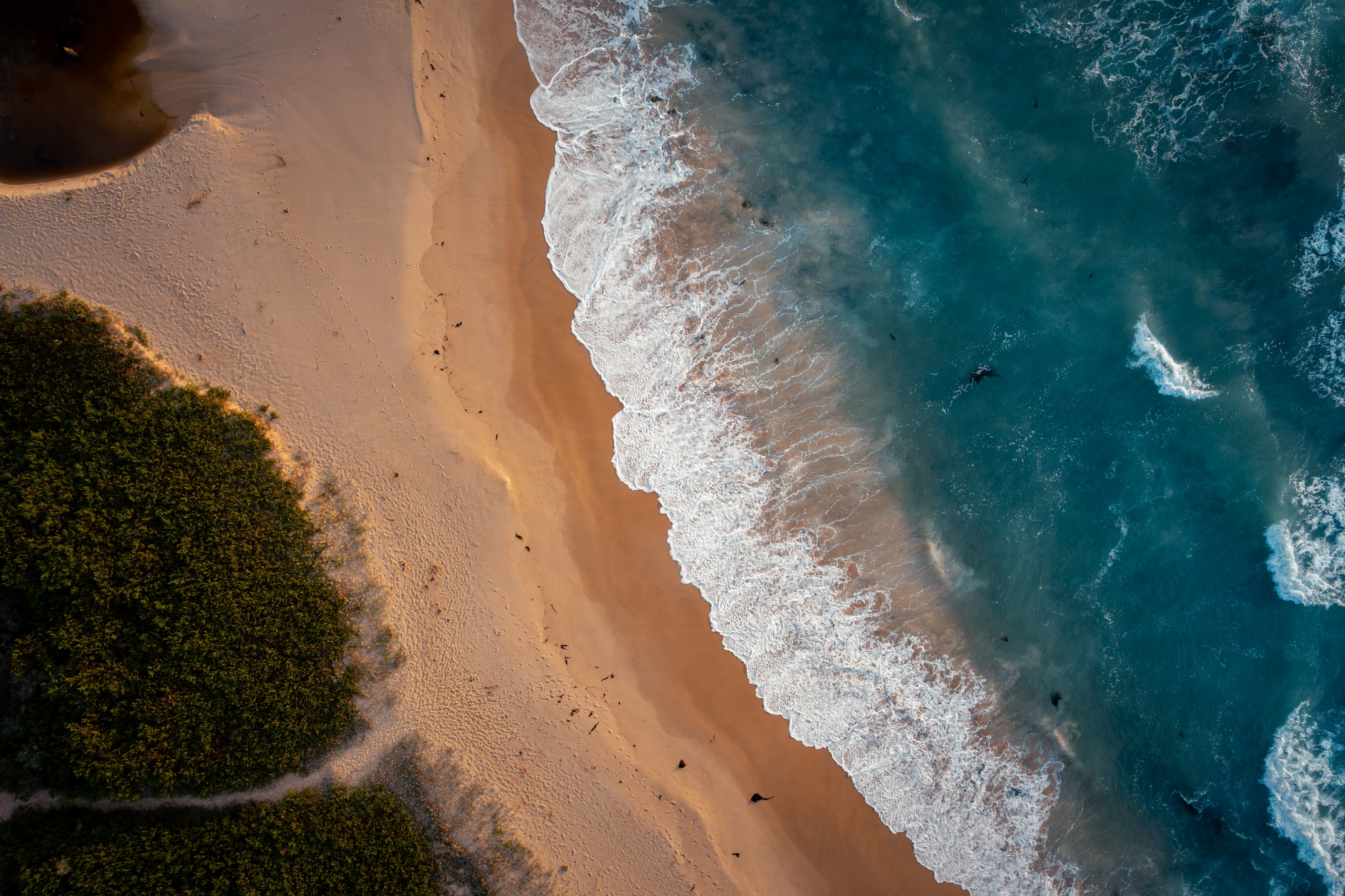 Mallacoota shores