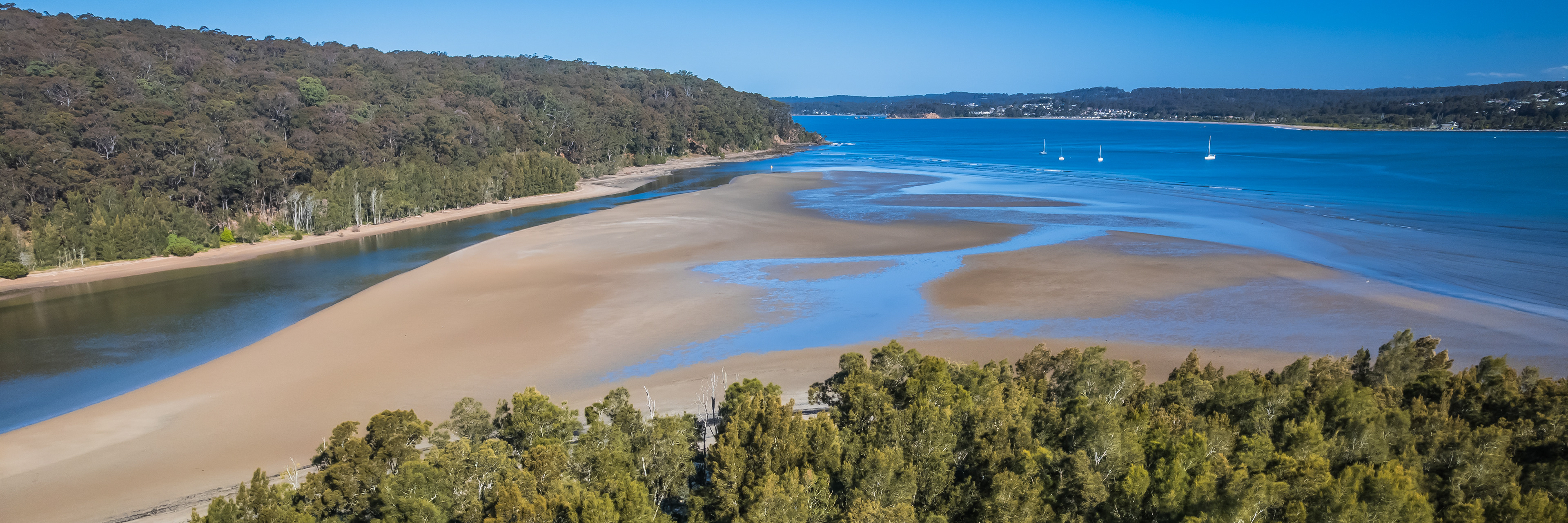 Tide's out  (Peter Coleman)