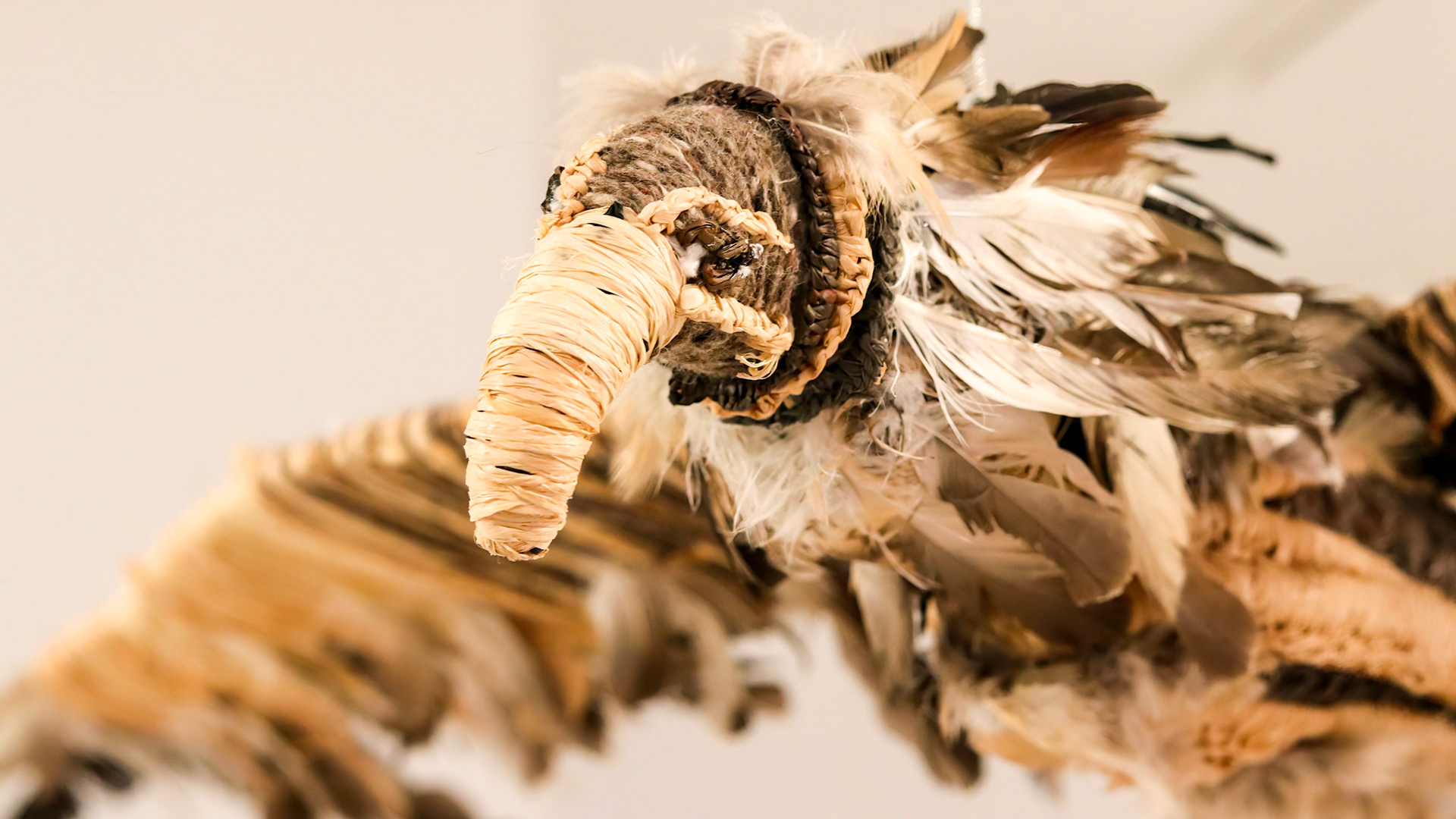 Weaved Bungil (wedge-tailed eagle)