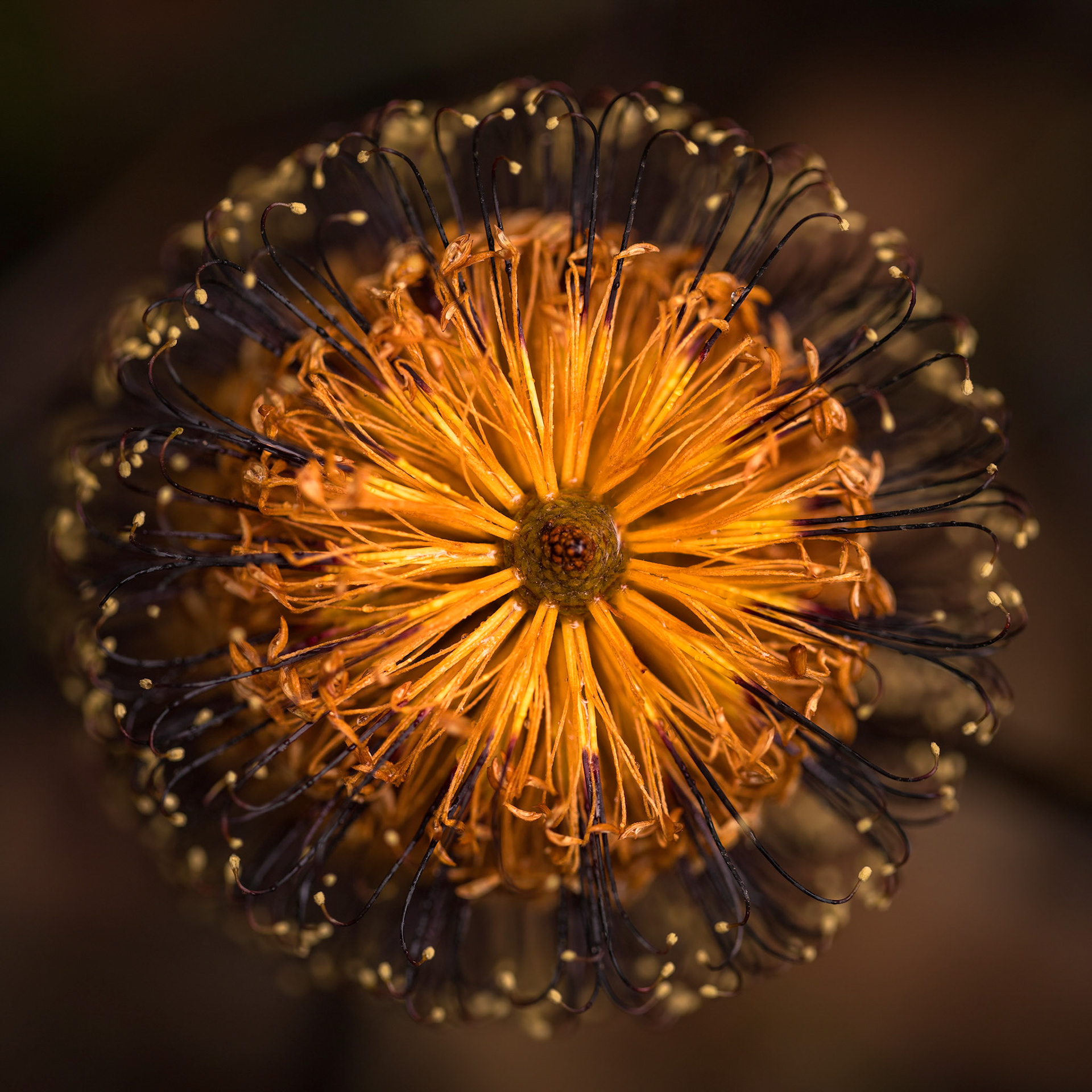 Nature's symmetry