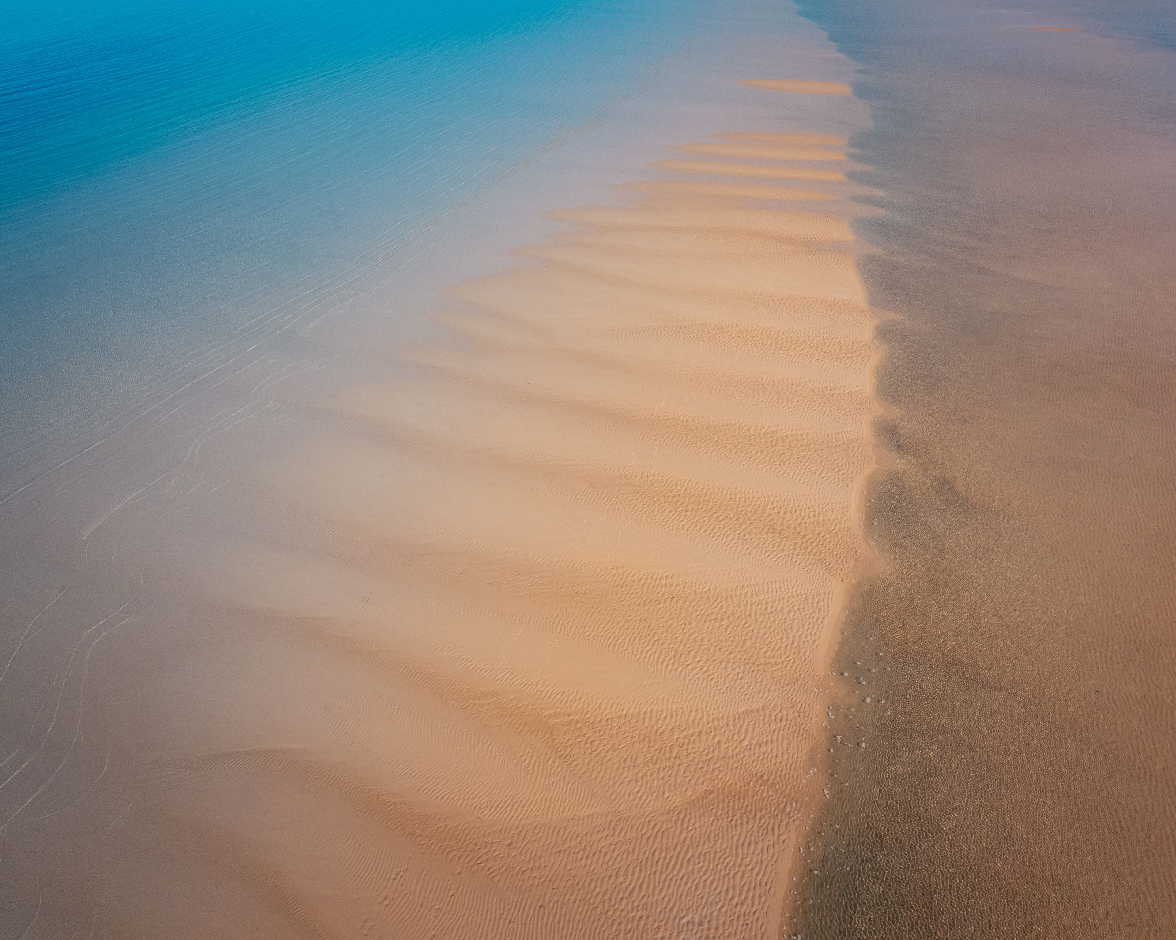 Underwater dunes  (Peter Coleman)
