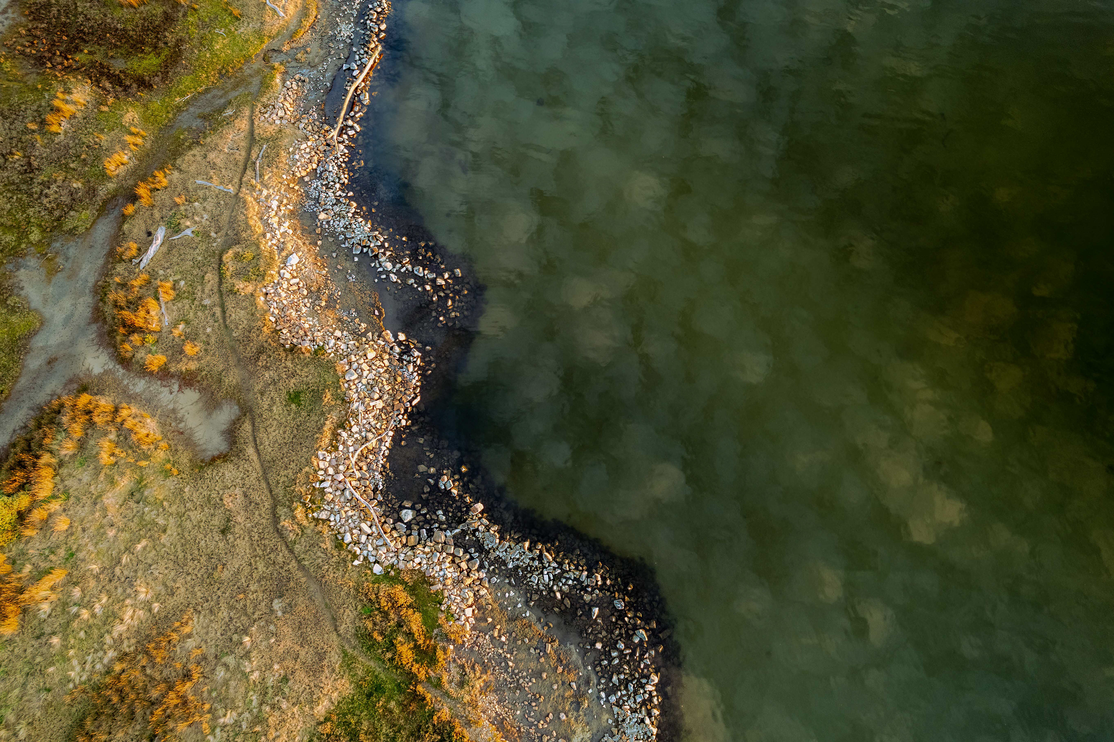 Painted water