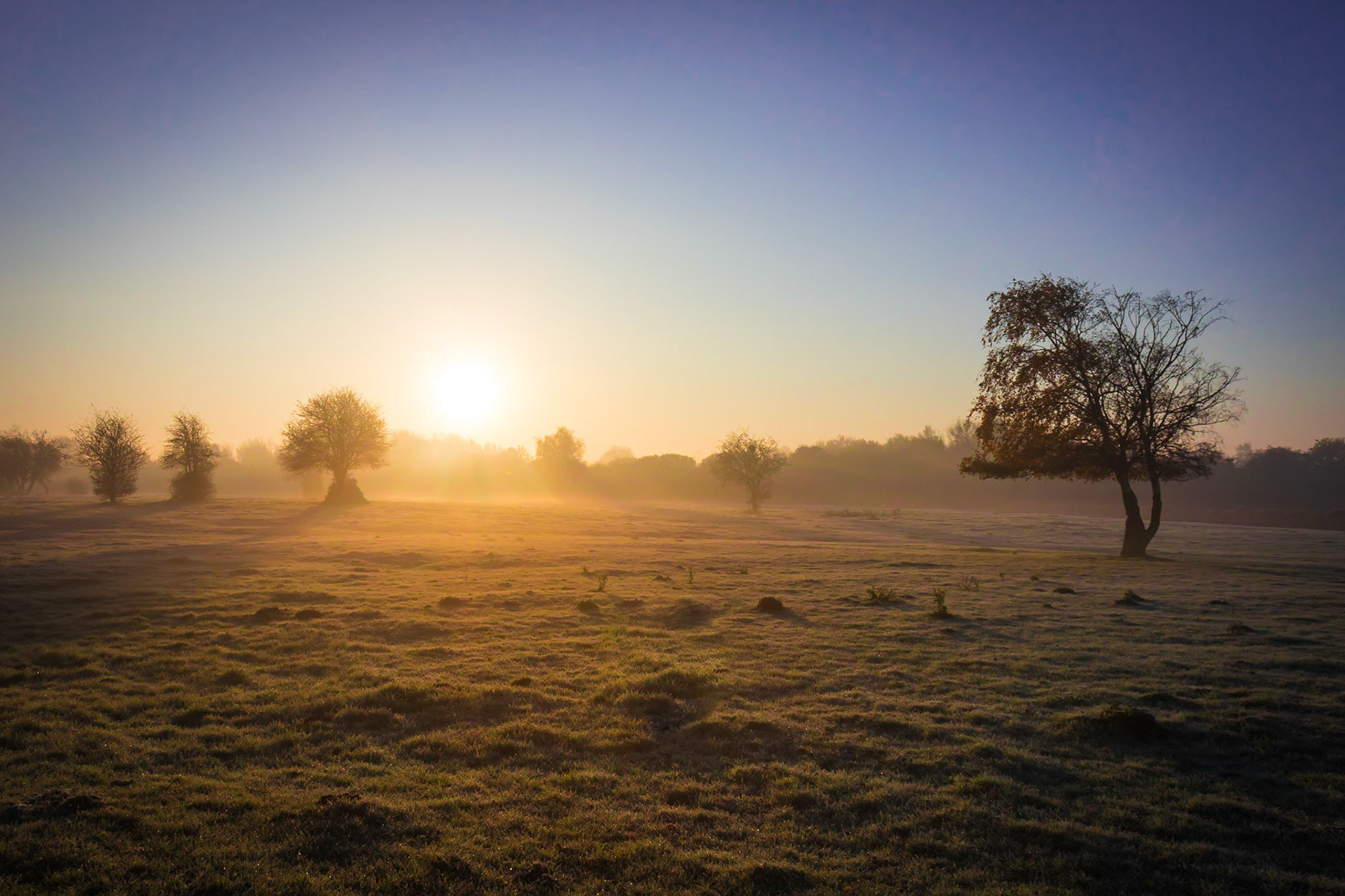 Early morning misty sunrise over Jack Lane Farm fields, Flixton, Manchester.