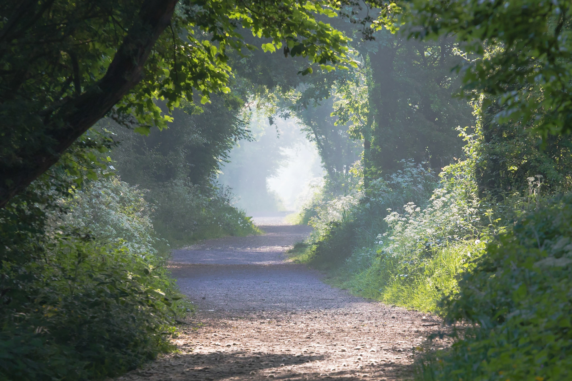 A walk along an old railway line in Flixton, Manchester.