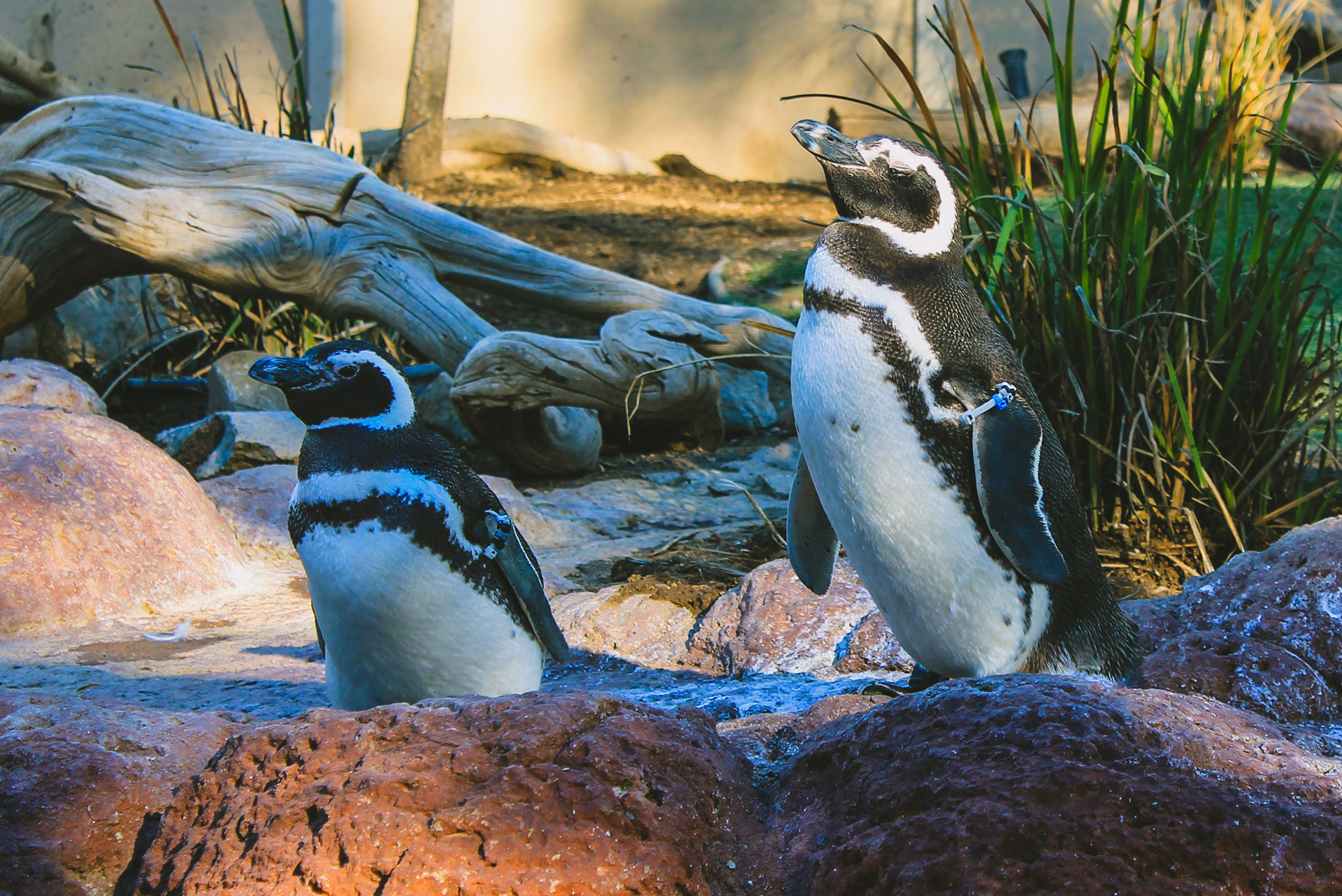 Kyoto Aquarium