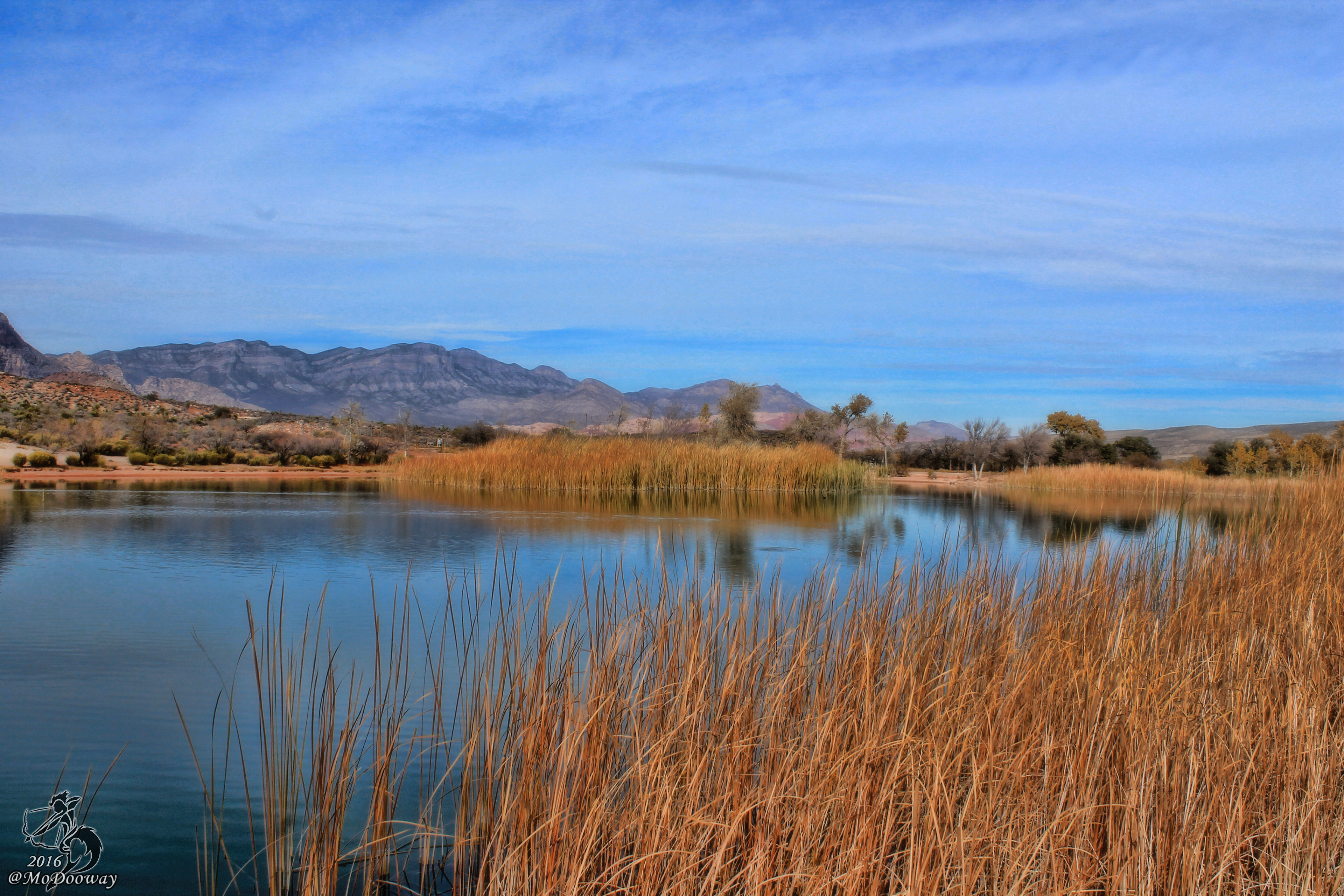 Vegas Lake