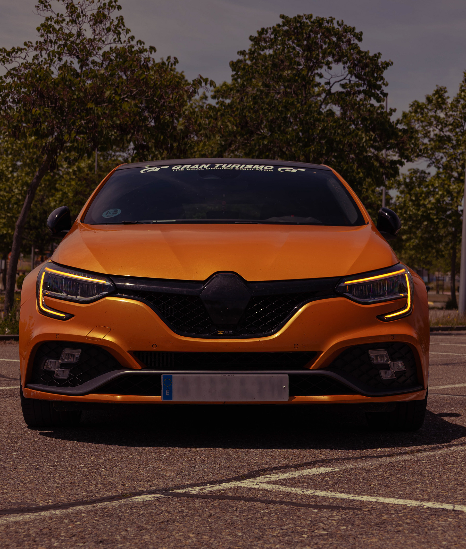RENAULT MEGANE RS