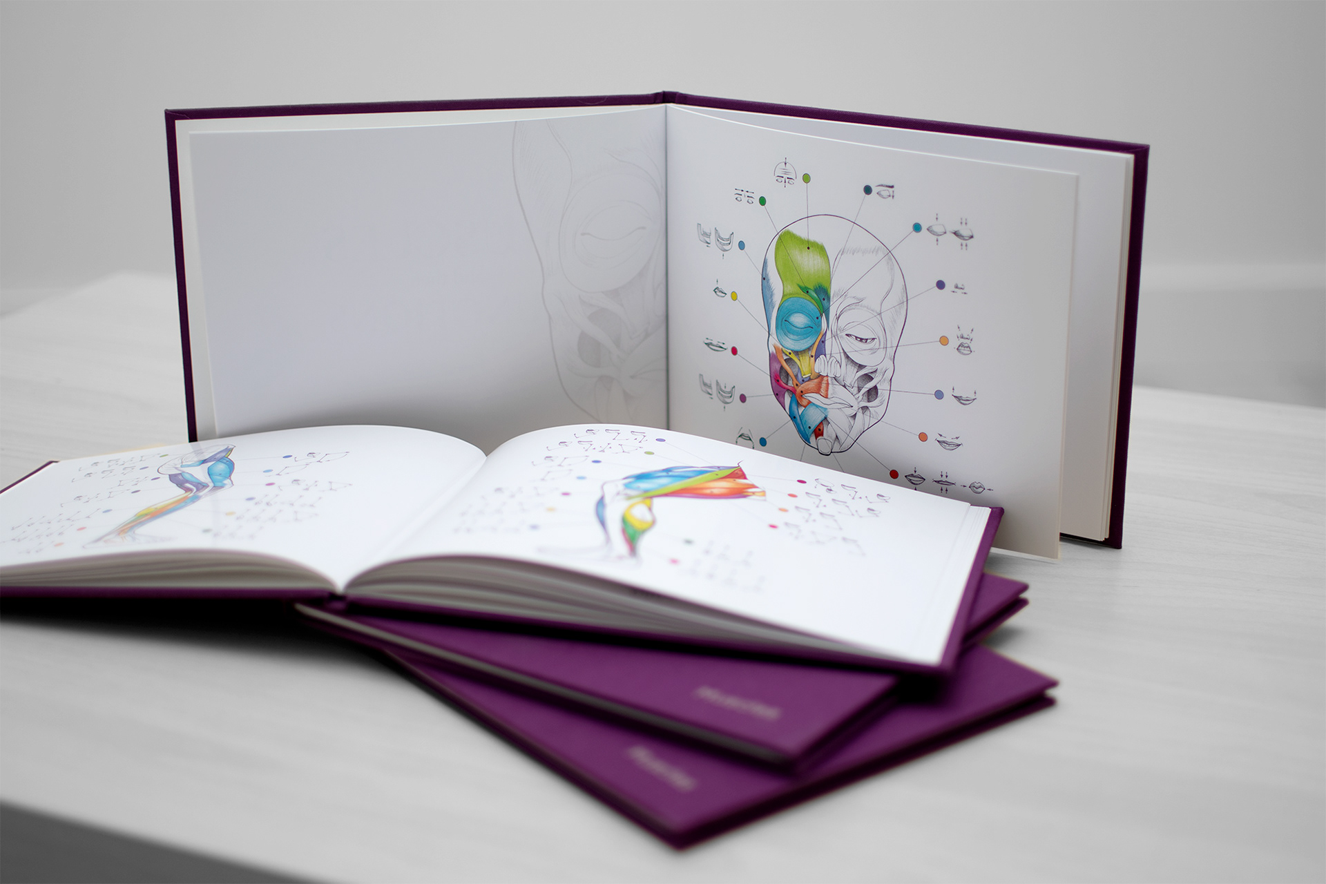 Book about the functions of muscles. Face and leg muscles spreads.