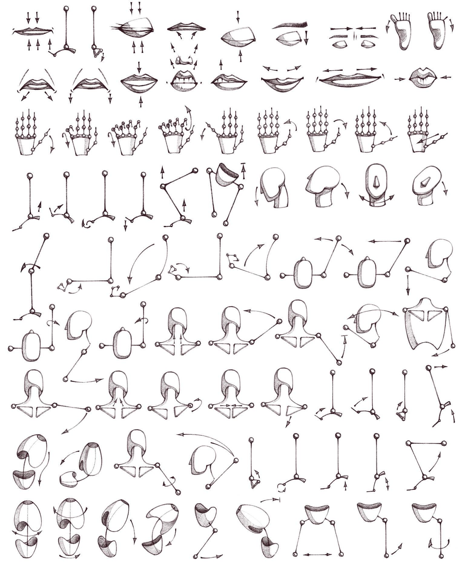 Book about the functions of muscles. Icons, infographics elements.