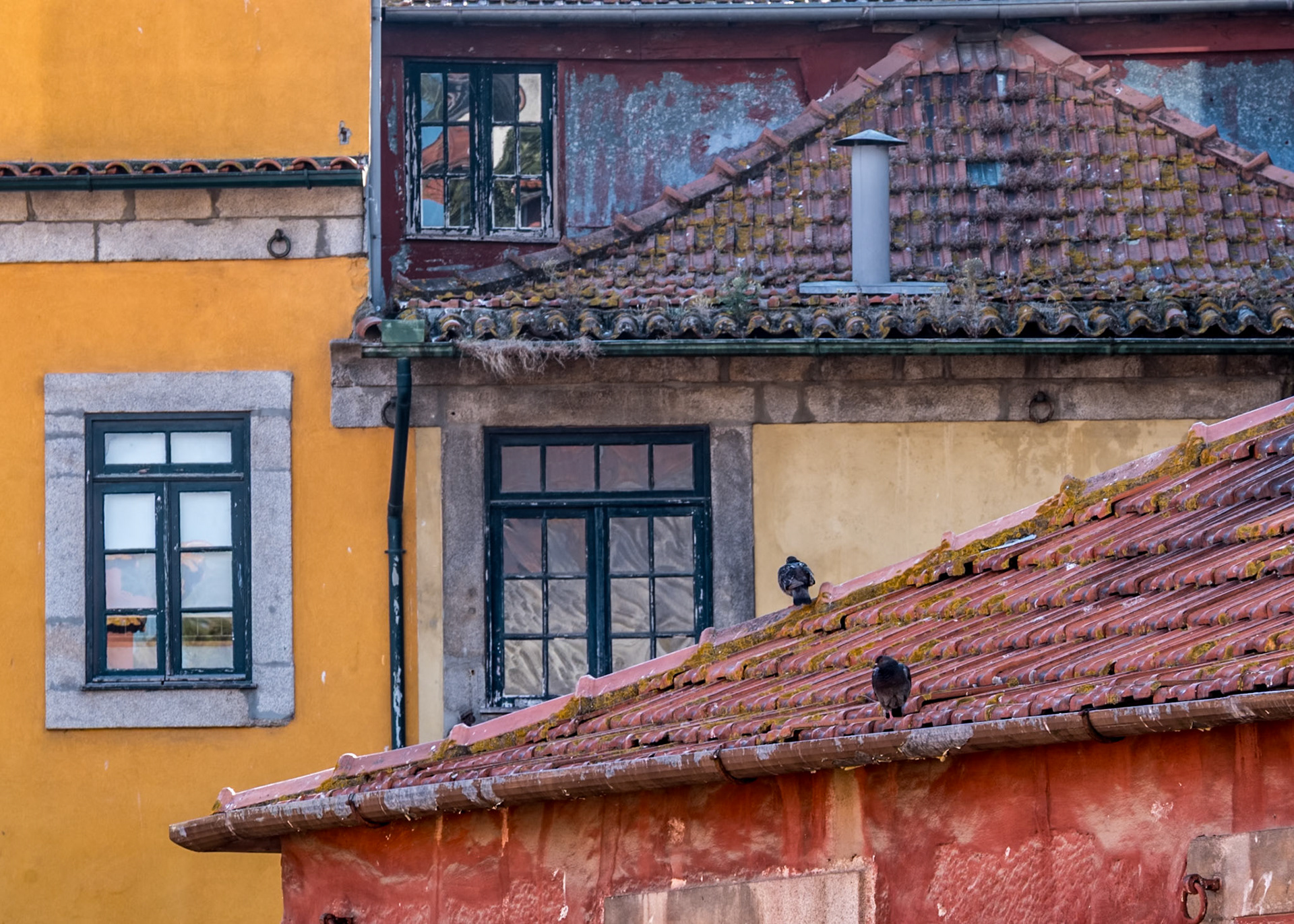 Porto Rooftops