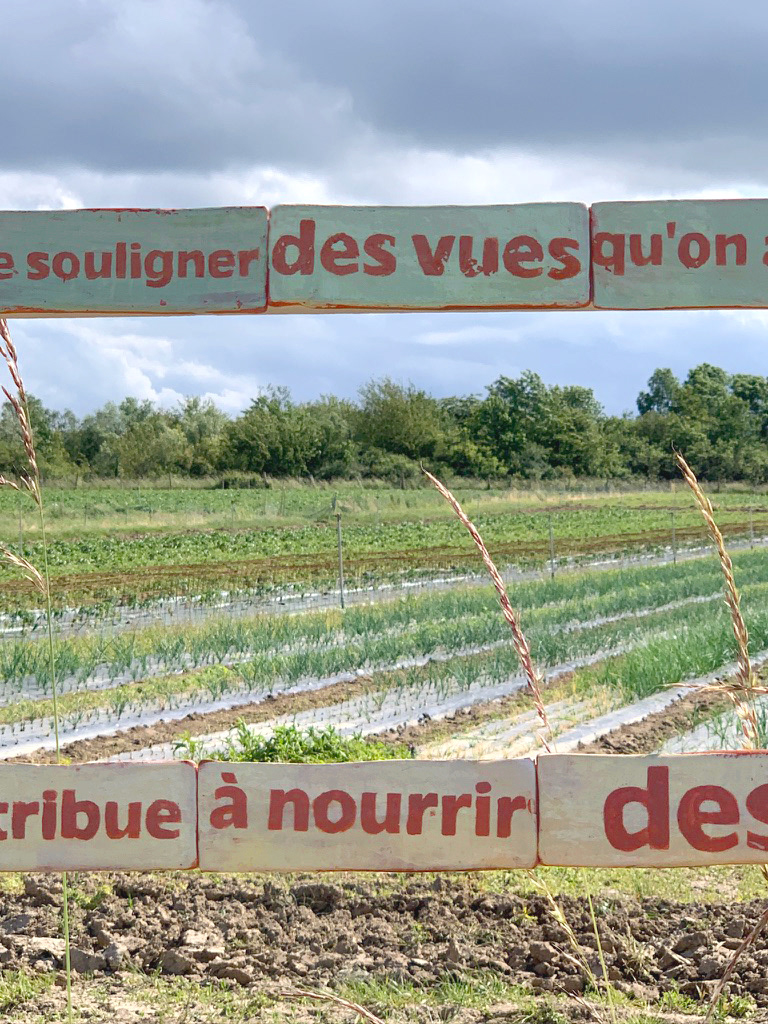 Carreaux de céramiques finaux, installés le long des boucles de randonnées