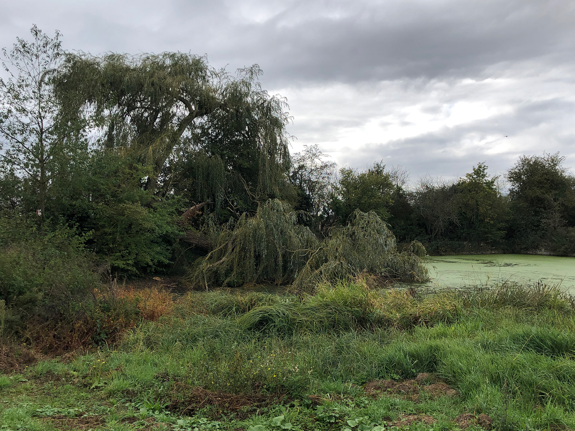 Zone humide, Ferme d'Orsigny
