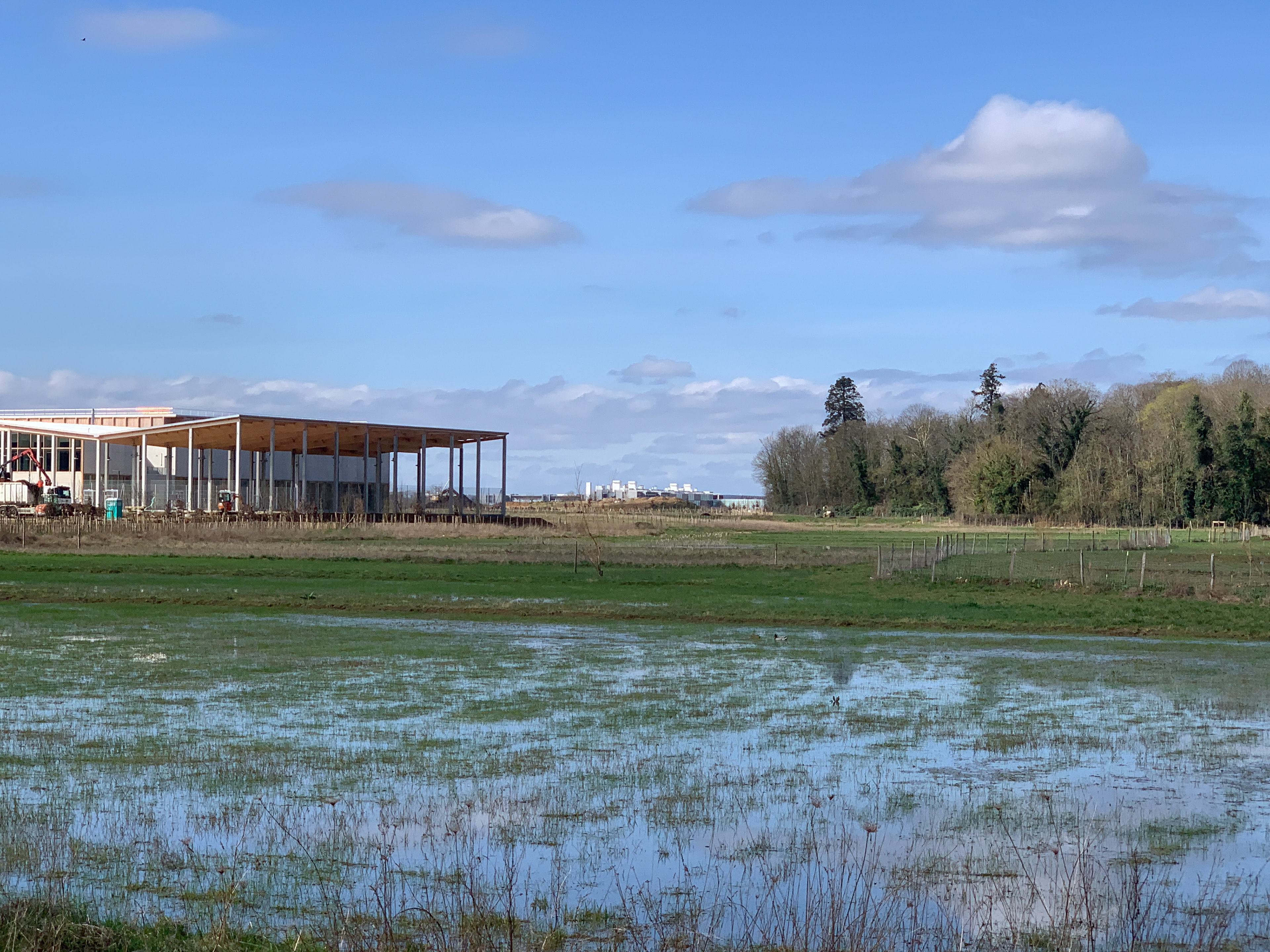 Fracture visuelle et spatiale entre la zone du campus en construction et la zone naturelle et forestière