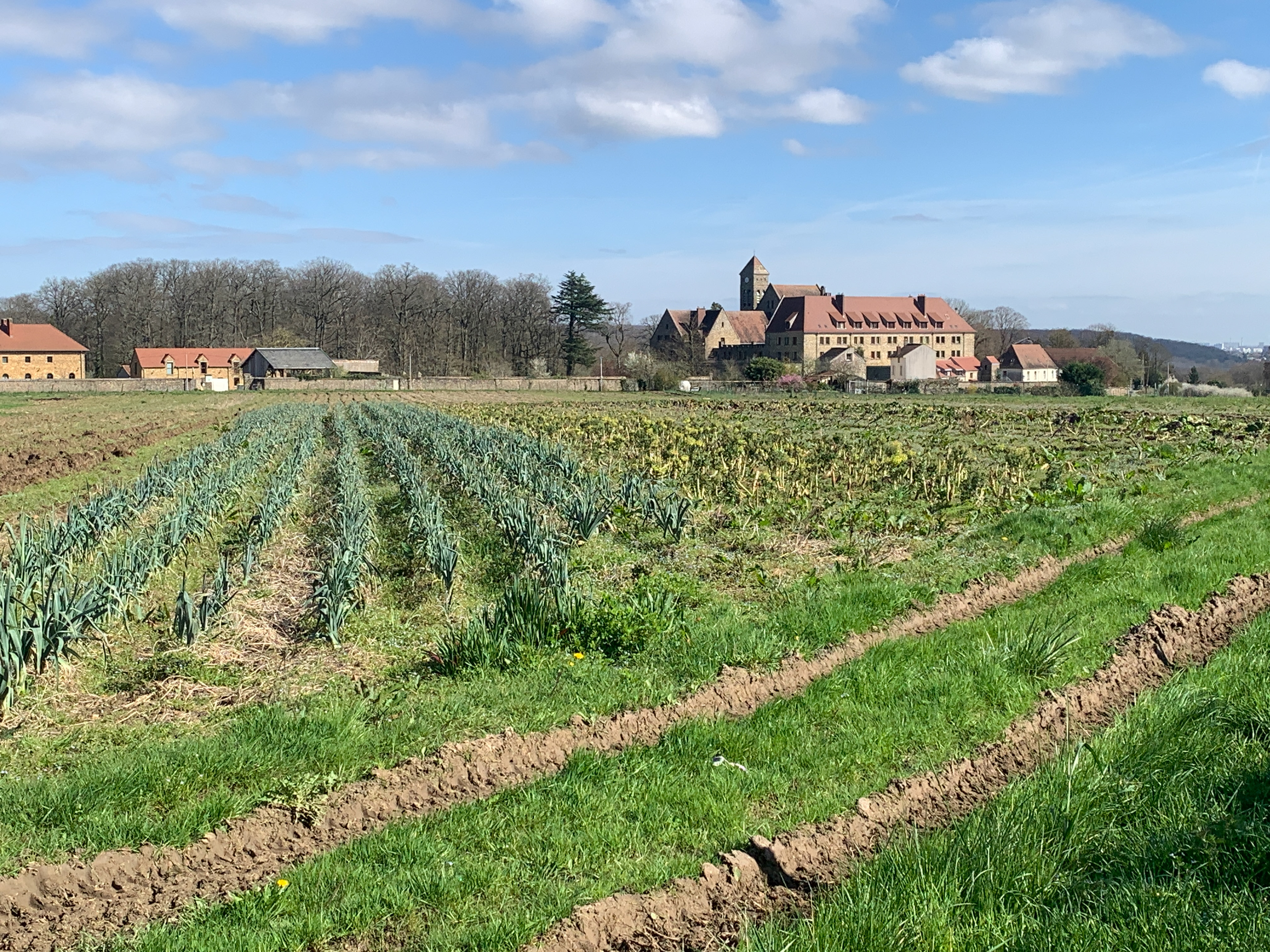 Jardins de Cocagne de Limon, Vauhallan