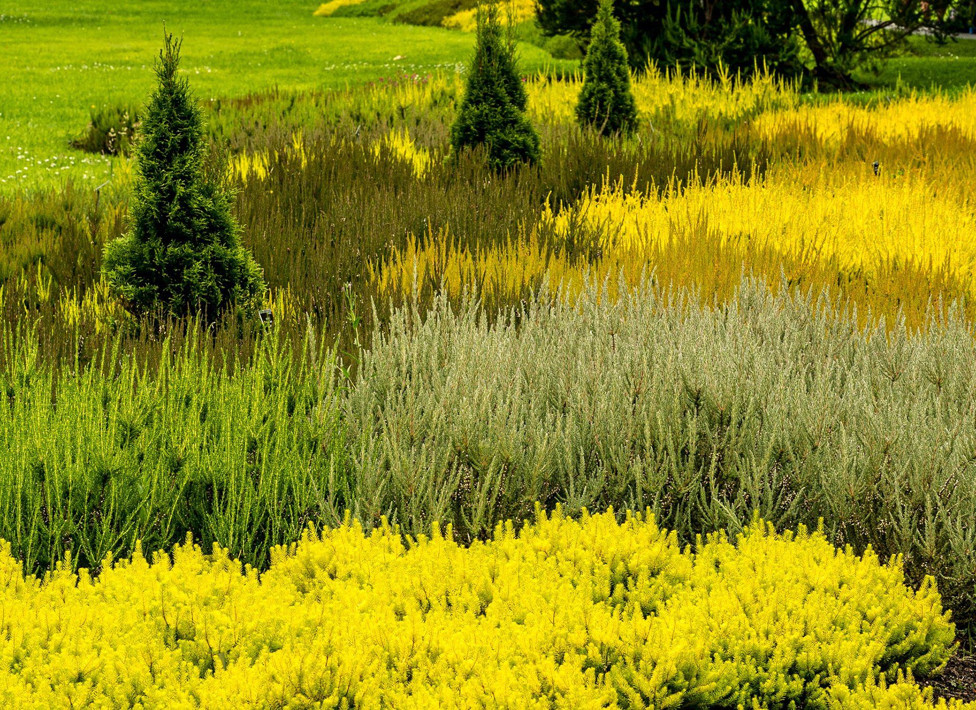 Botanic Gardens, Dublin, 8 Jul 2016