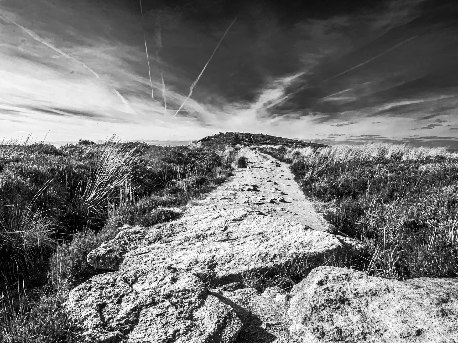 Tibradden Mountain, Co Dublin, 2 Apr 2017