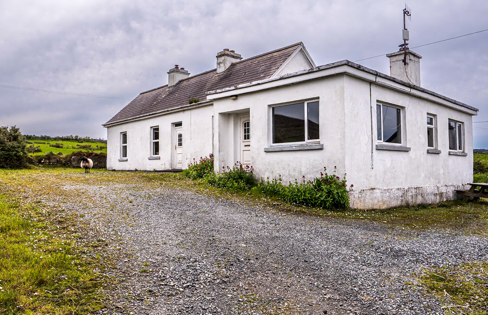 Near Cross Lough, Co Mayo, 13 May 2023