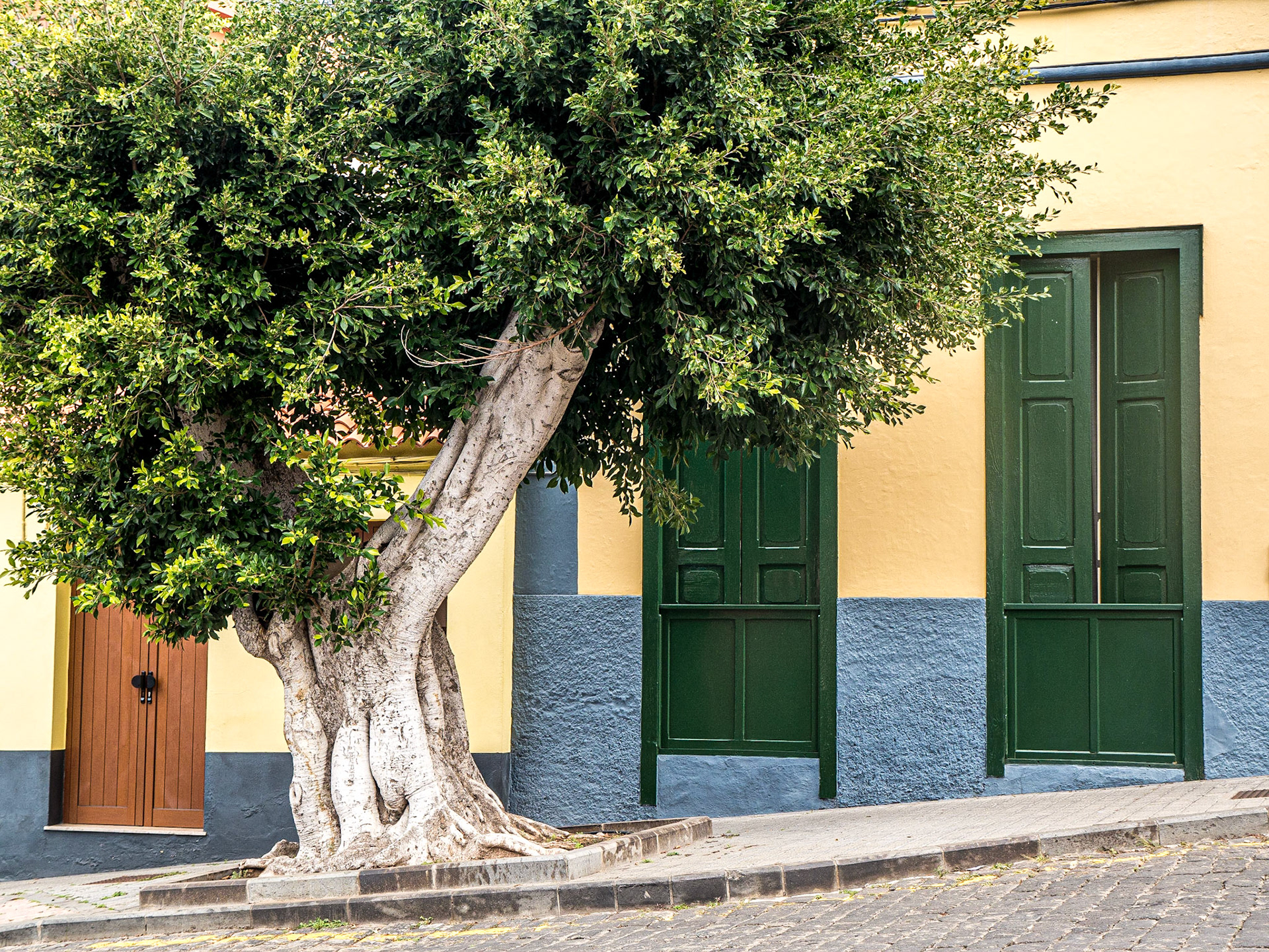 Guía, Gran Canaria, 23 Feb 2016