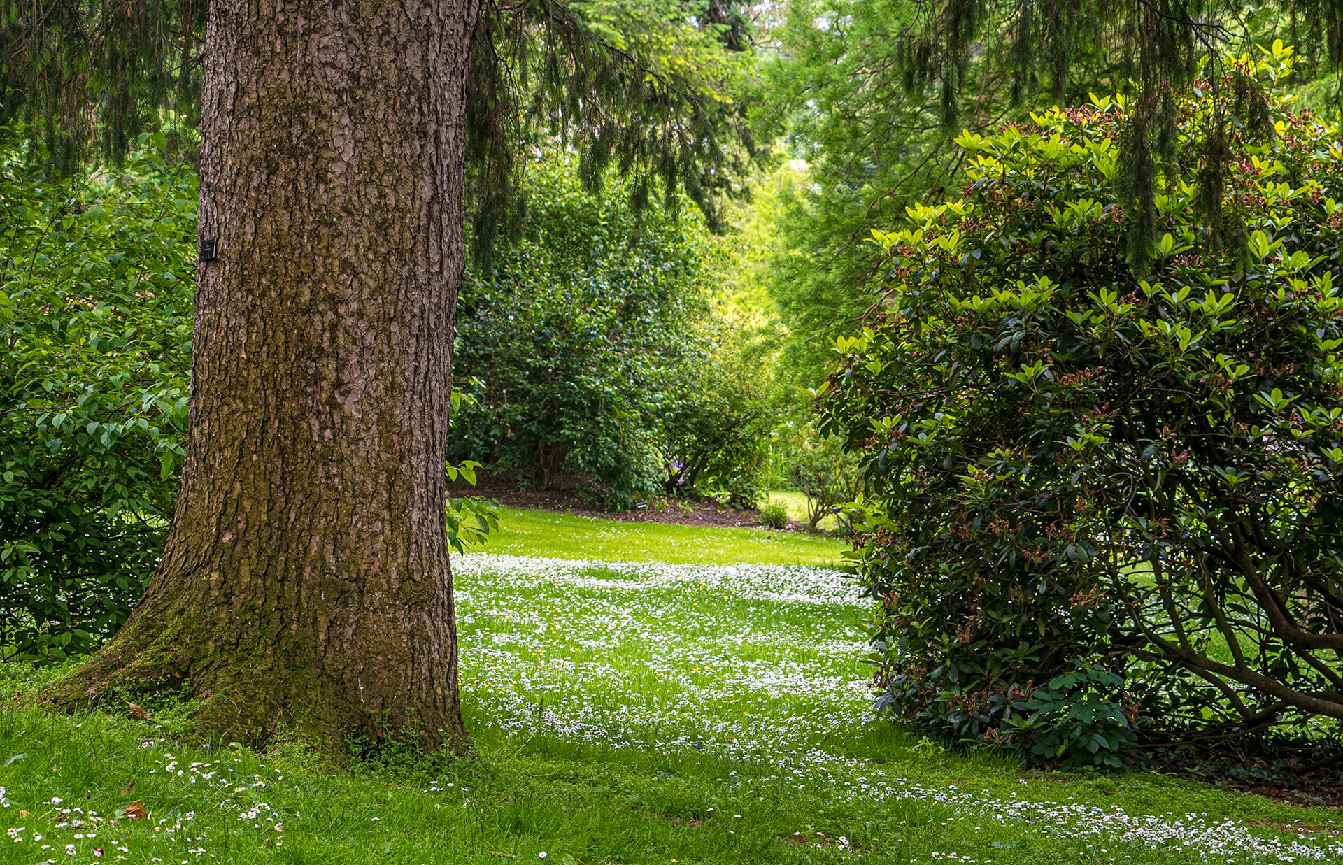 Botanic Gardens, Dublin, 25 Jun 2019