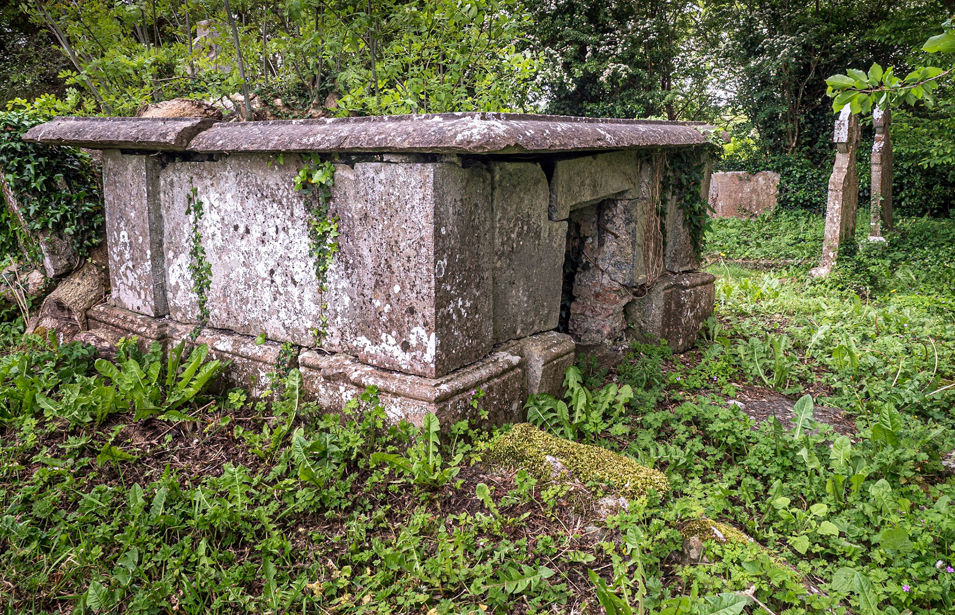 Annaghdown Cathedral, Co Galway, 18 May 2019
